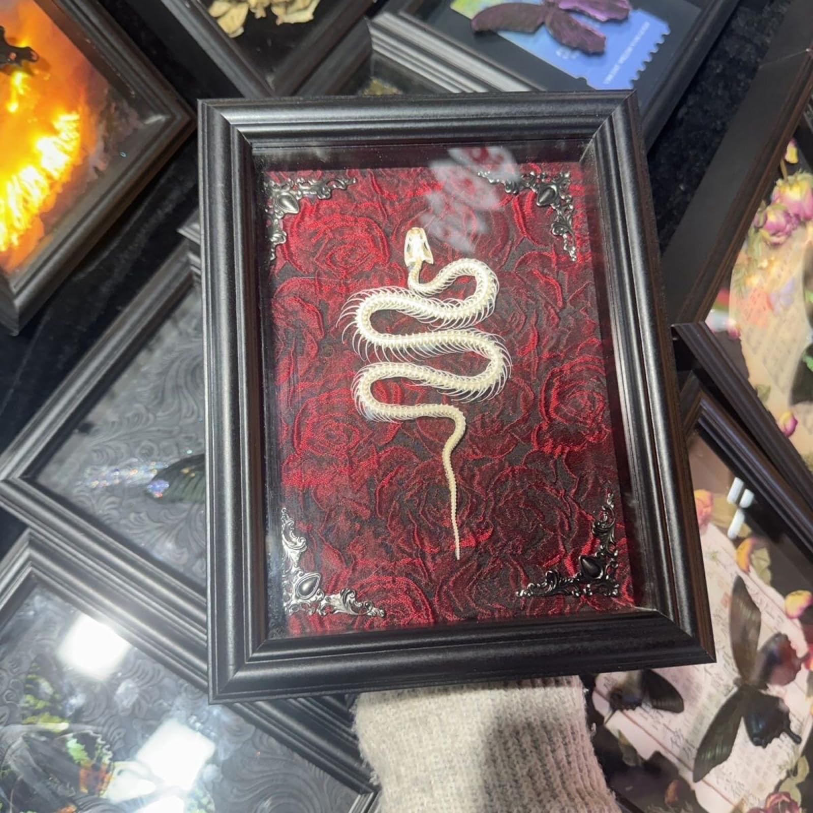 Farfalla Incorniciata con Scheletro di Serpente - Campione di Insetto Gotico - Oggetti da Collezione di Tassidermia Arte da Parete Decorazione per la Casa,B