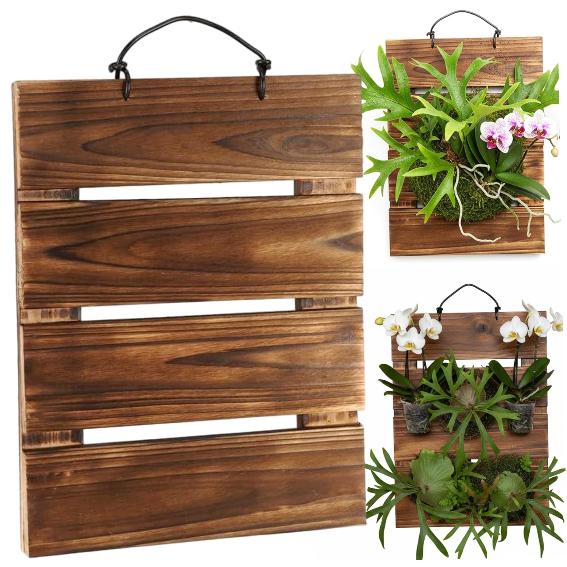 Latemeia Fern Mount, Rectangular Wall Plant Holder 13x9 Wall Mount Planter Kit for Ferns, Orchids, Air Plants, Décoration de jardin