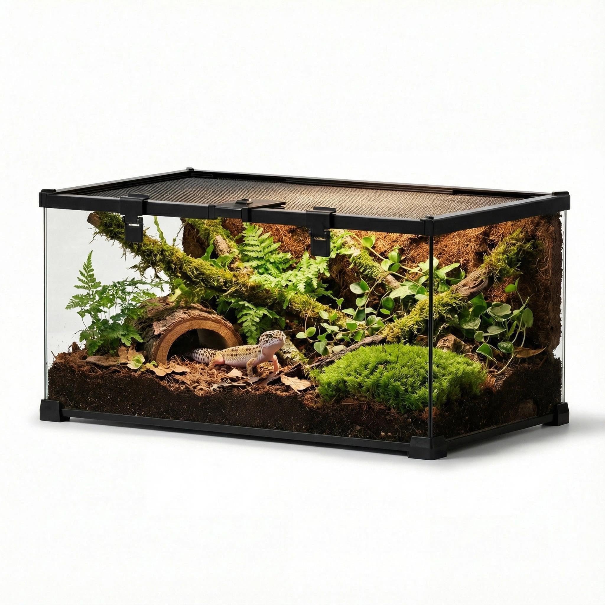 NEPTONION 20x12x10 Reptile Terrarium
