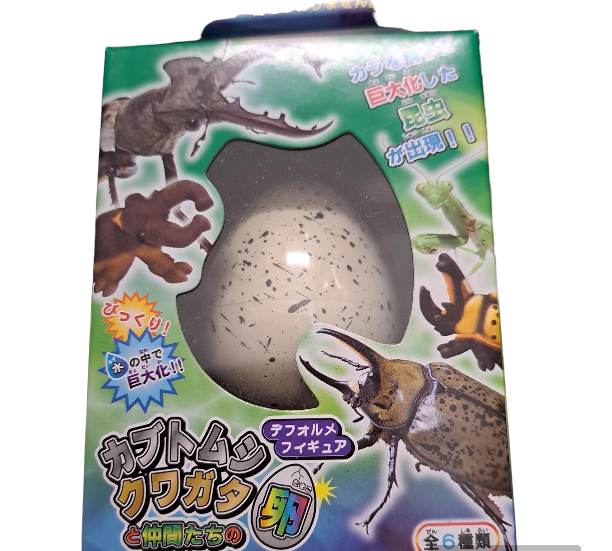 Amazon.co.jp: カブトムシ・クワガタと仲間たちの卵 1個 [コレクション