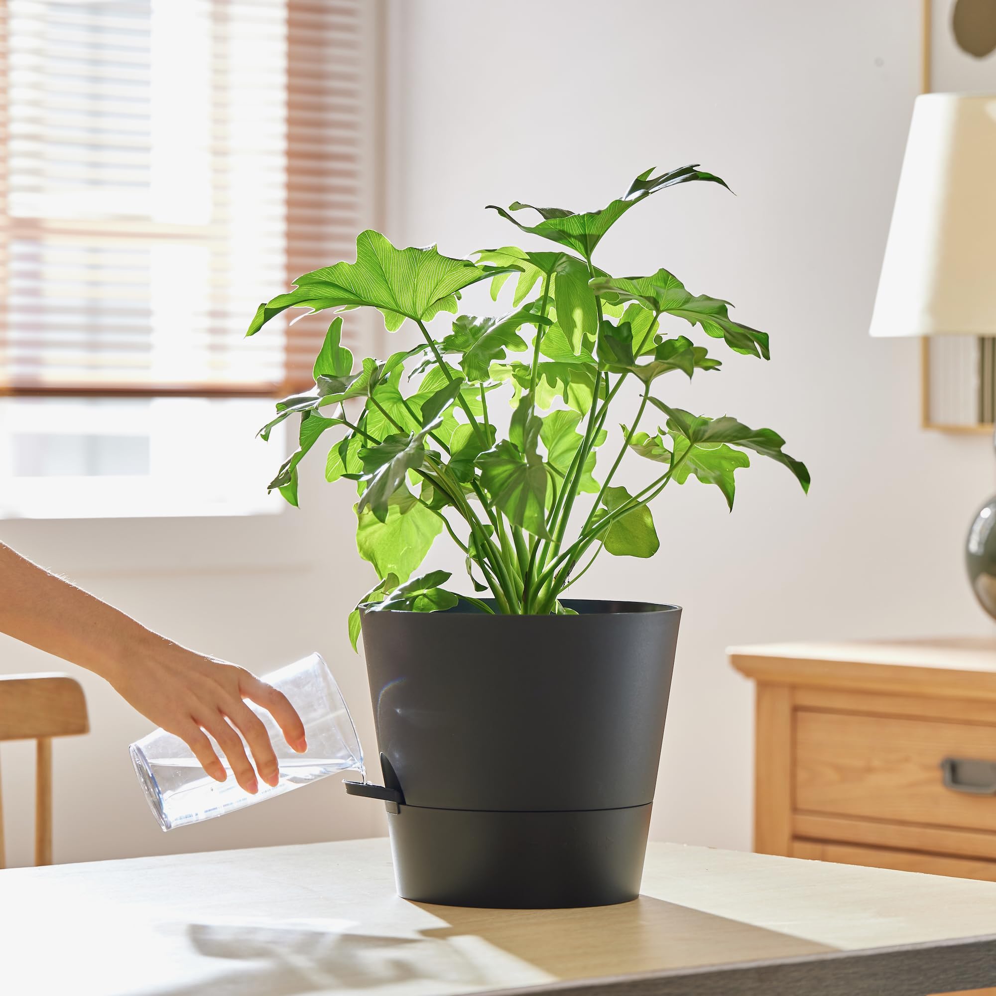 FaithLand Paquete de 2 macetas de 10 Pulgadas para Plantas de Interior y Exterior, macetas de riego automático con depósito Profundo, Color Negro