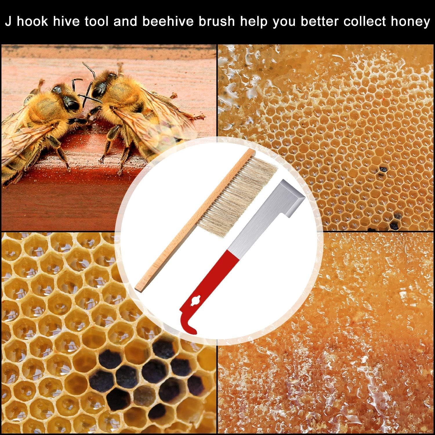 Mudder Bee Hive Tool Stainless Steel J Hook Frame Lifter and Scraper, 2 Pieces Beehive Brushes Beekeeping Tools for Beekeepers
