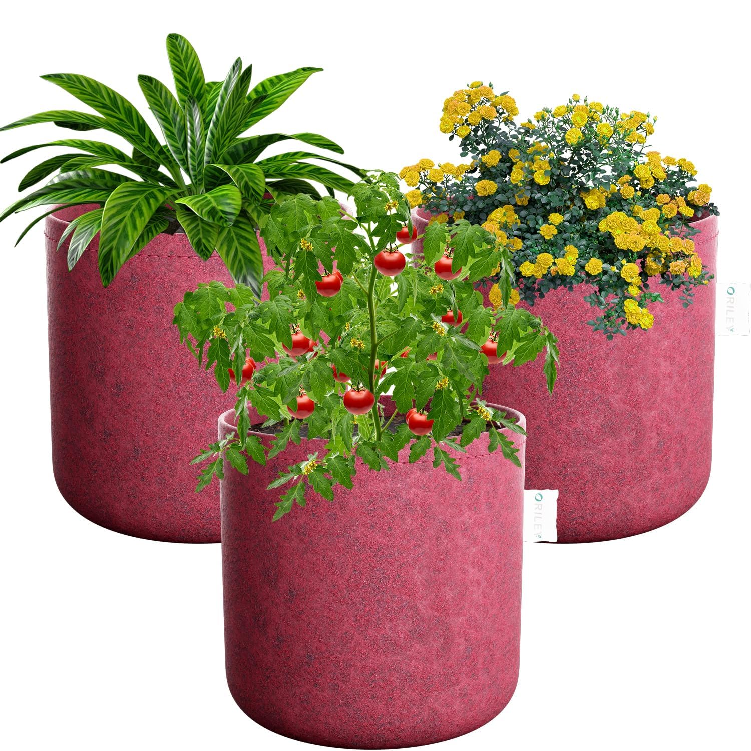Oriley Grow Bag Heavy Duty Geo Fabric Plant Pot Lightweight Bags Ideal for Gardening Balcony Terrace (Red, Round, 300 GSM 6 x 6 inch Pack of 3) (B0C3MPKSVB) Amazon Price History, Amazon Price Tracker