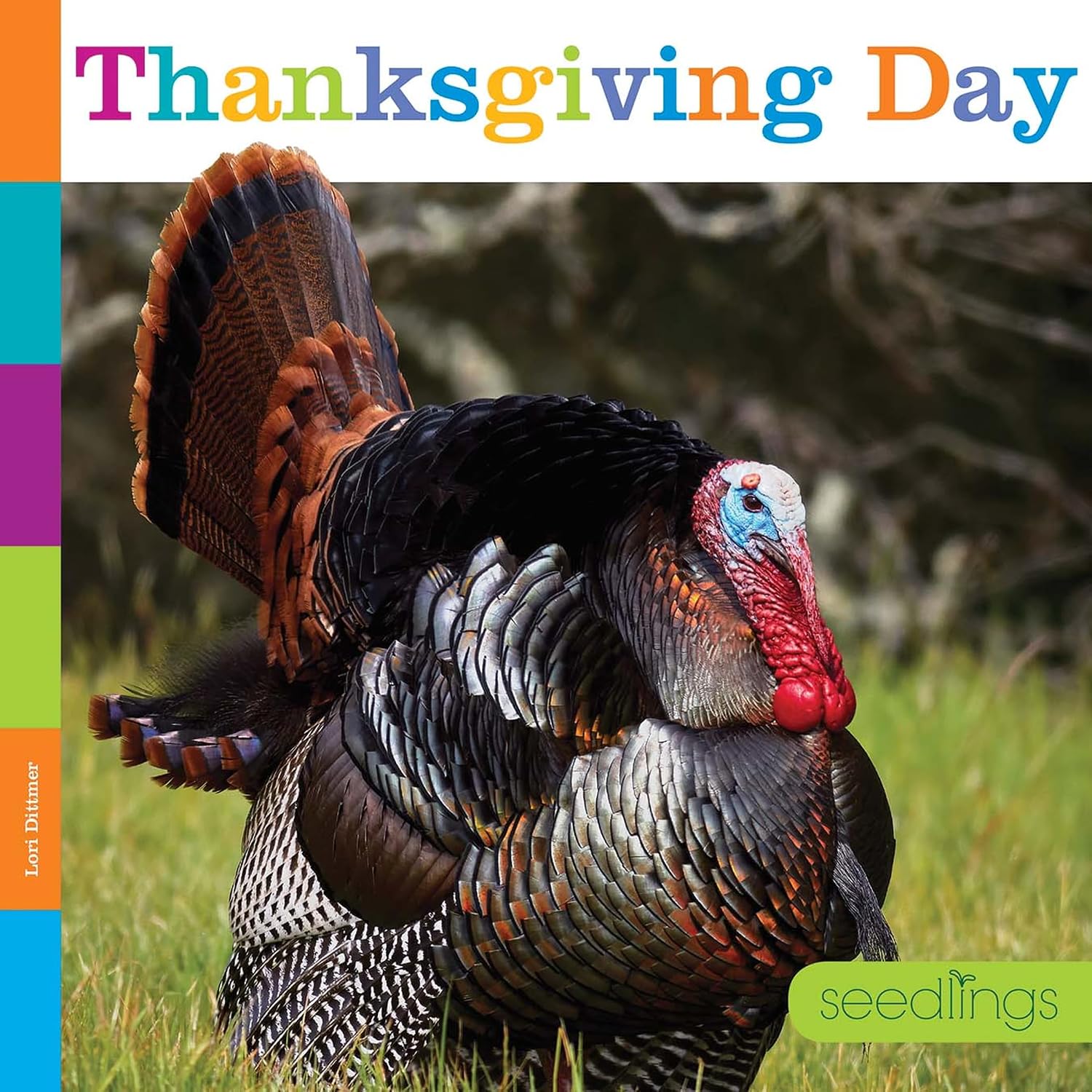 Thanksgiving Day (Seedlings)
