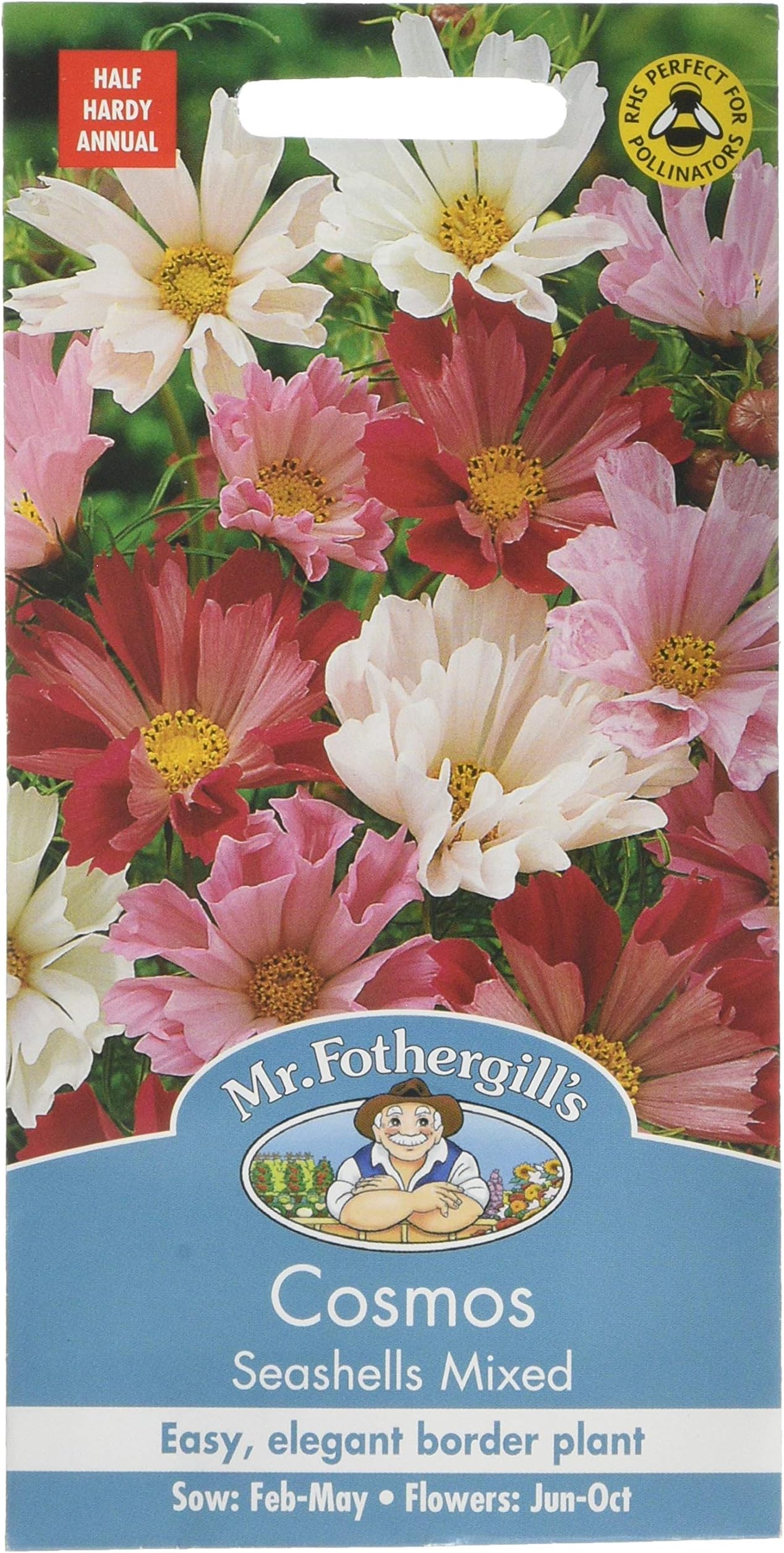 Mr. Fothergill's 11880 Cosmos Seashells Mixed Flower Seeds