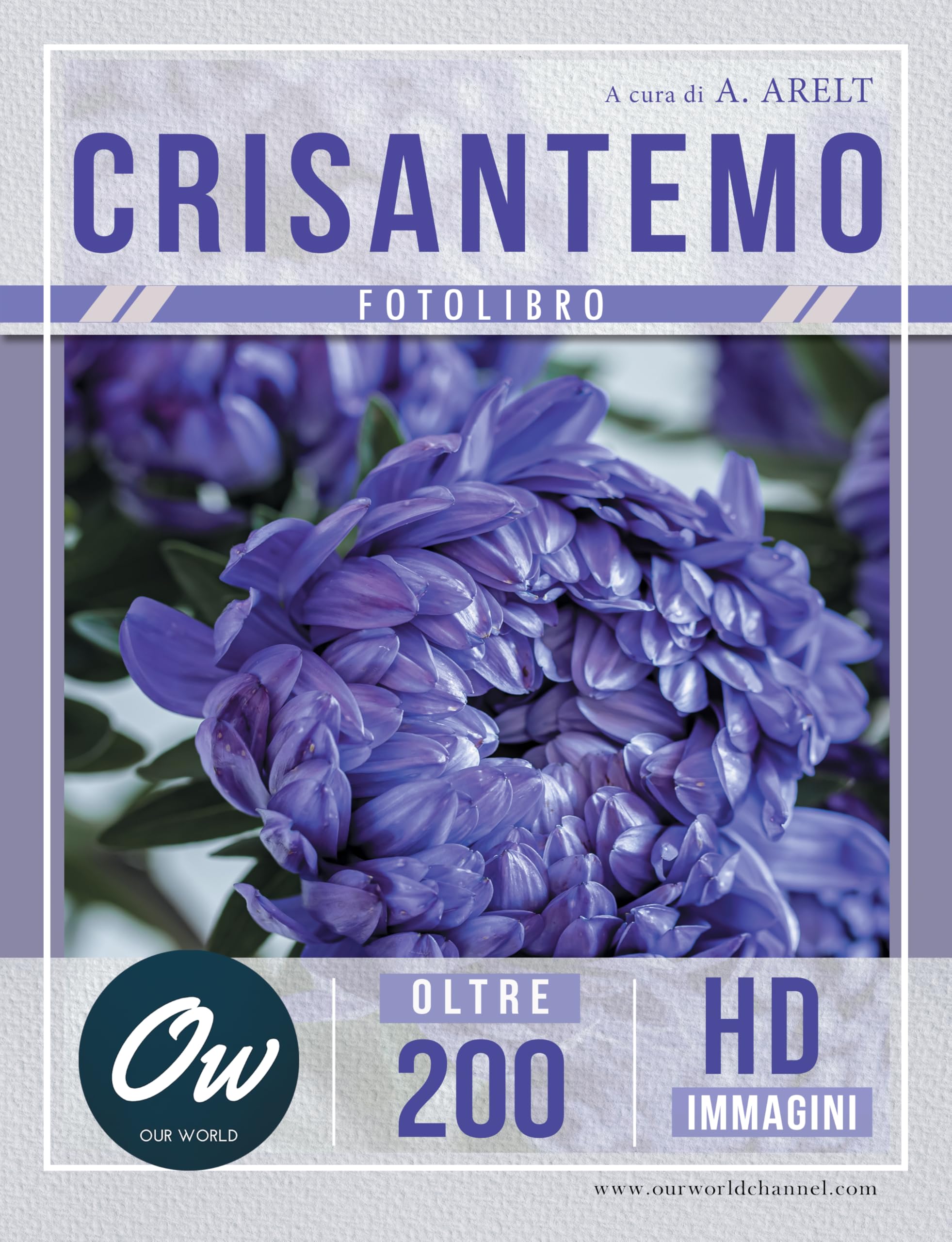 Livre Crisantemo 200 images HD pour s'évader et ressentir la beauté de l'art