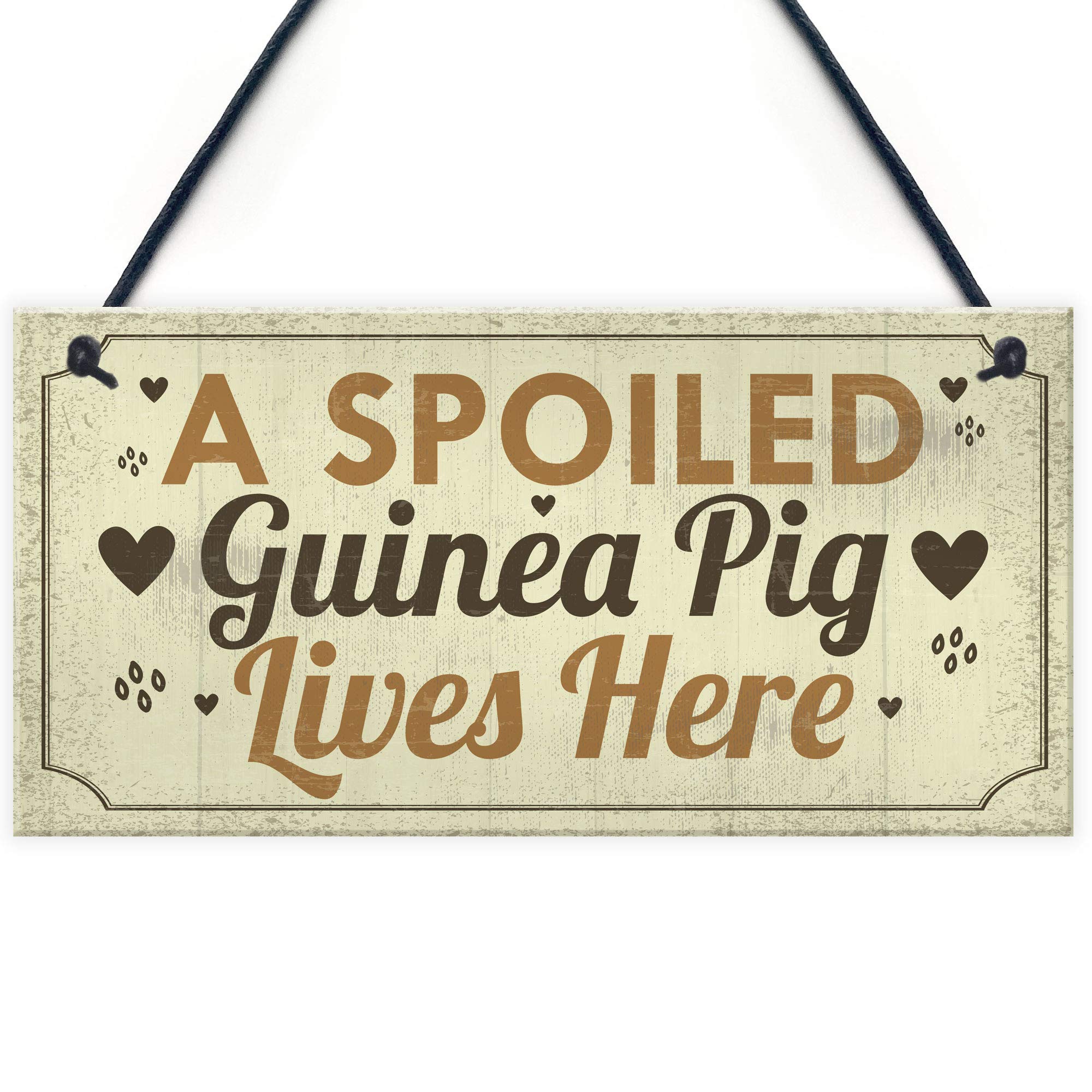 Red Ocean A Spoiled Guinea Pig Lives Here Hanging Plaque Beautiful Handmade Gift Sign For Guinea Pig Owners Friendshiip Gift