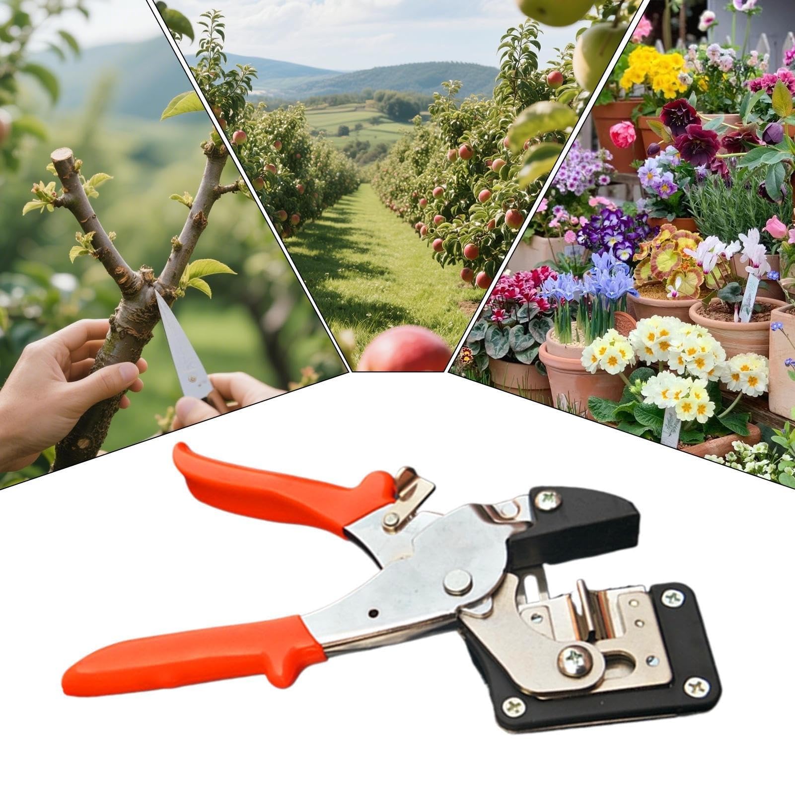 Cesoie for innesto 2 in 1, kit di attrezzi for innesto da giardino, cesoia for innesto di piante con impugnatura ergonomica, forbici da giardino resistenti for alberi da frutto, rami