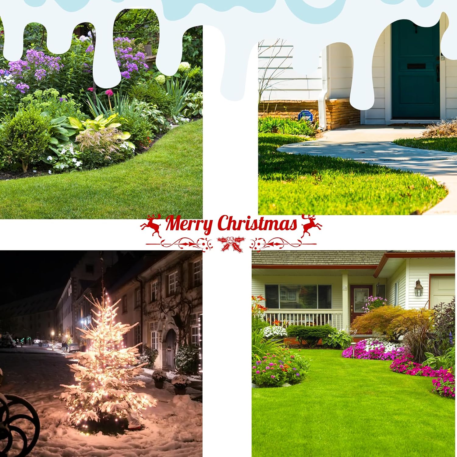 JUOPZKENN 2Pcs Solar Garden Lights, Outdoor Solar Flower Lights, Simulation Poinsettia LED Light,Christmas Stake Lights with Faux Poinsettia Flowers for Garden, Yard, Patio, Lawn Decorative image 5