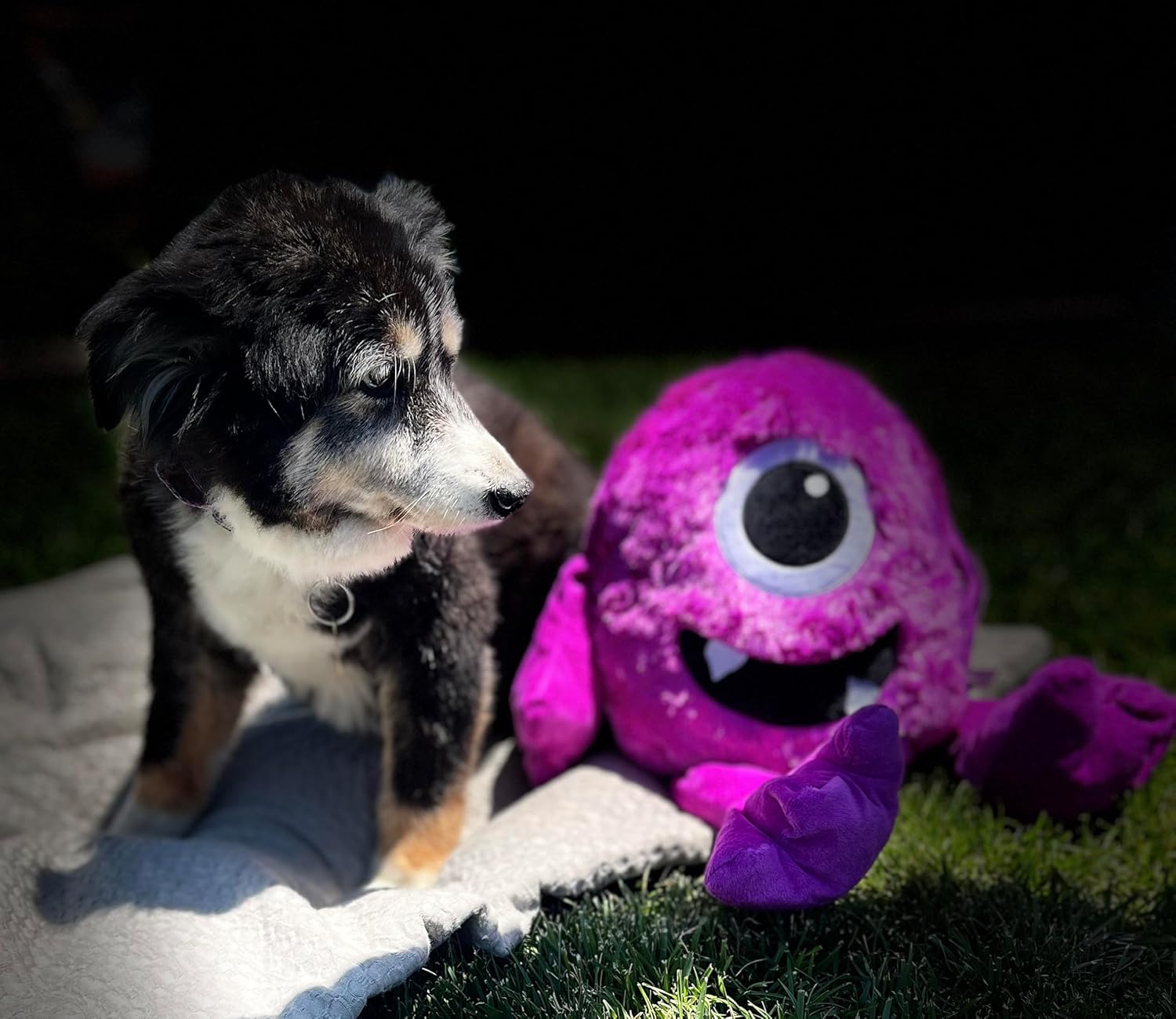 Big Dog Toys 18 Inch Jumbo Cuddle Monsters Soft Plush with Extra Large Squeaker 6 Choices or a Full Set (Set of All 6 Jumbo Monsters)