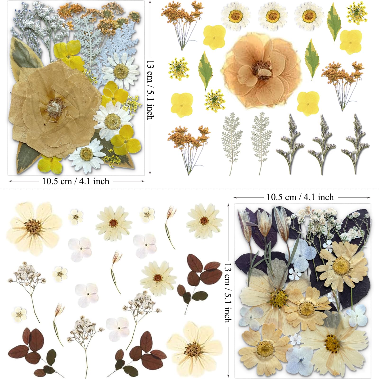 MIKIYA 90 getrocknete gepresste Blumen für Harzformen, Vintage-Weiß, echte natürliche trockene Blumen für DIY-Kunsthandwerk, Epoxid-Schmuck, Kerzen, Seifenherstellung, Nageldekoration, Handyhülle, 90