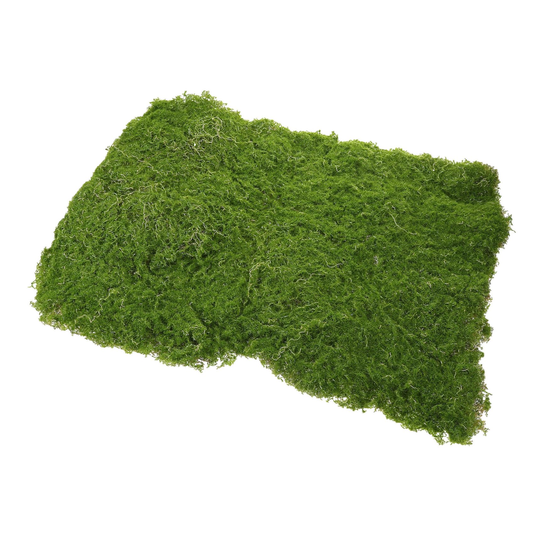 Mousse verte et tapis de gazon artificiel pour décor d'aquarium sain