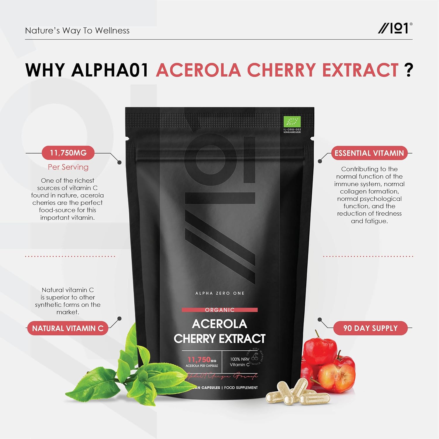 Organic Acerola Vitamin C, 80mg (100% NRV) Natural Vitamin C, 90 Vegan Capsules, 25:1 High Strength Acerola Extract - Image 3