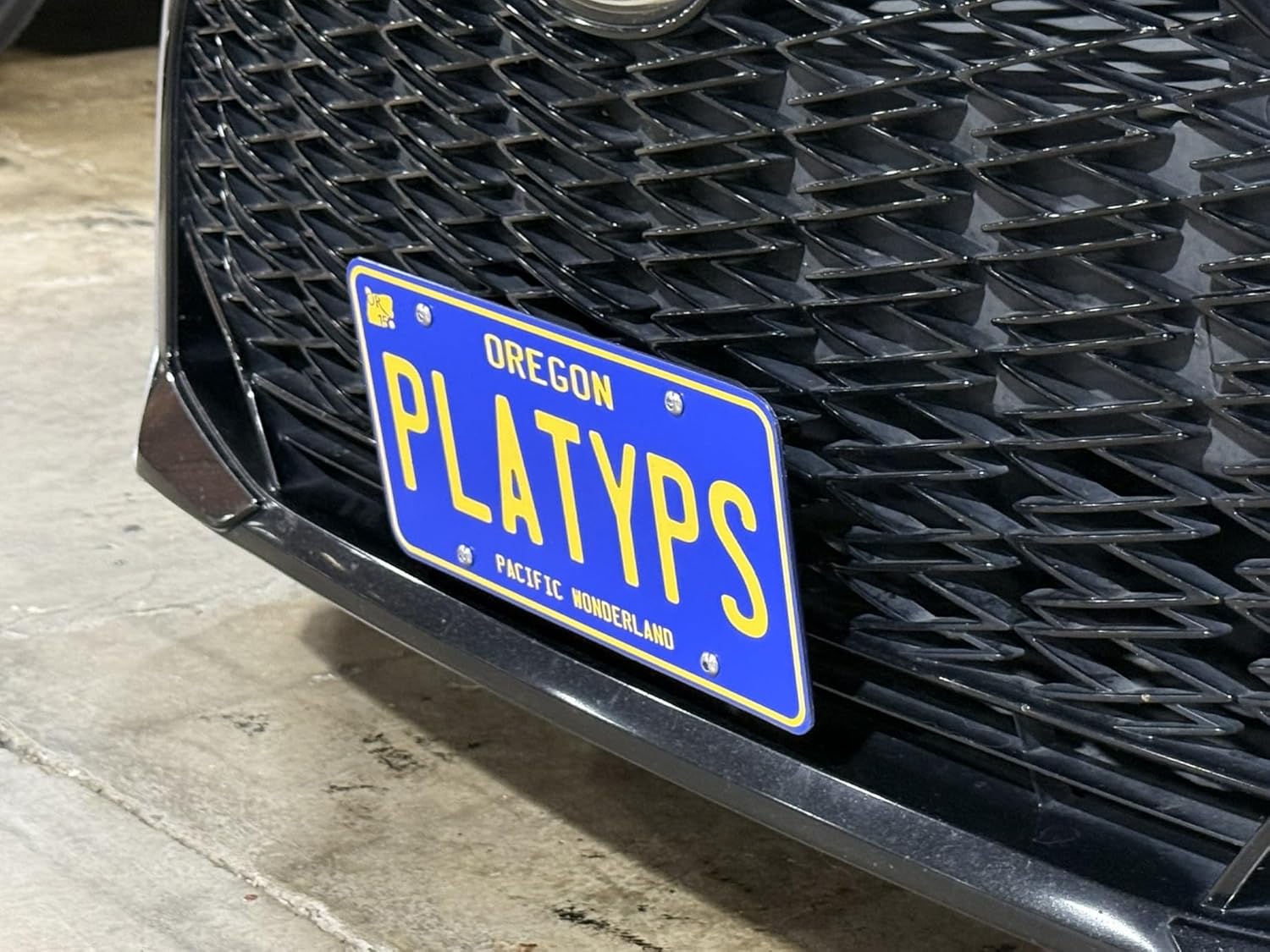 CravenSpeed Platypus License Plate Grille Mount Compatible with Lexus is F-Sport 2014-2025 | No Drilling | Installs in Seconds | Made of Stainless Steel & Aluminum | Made in USA