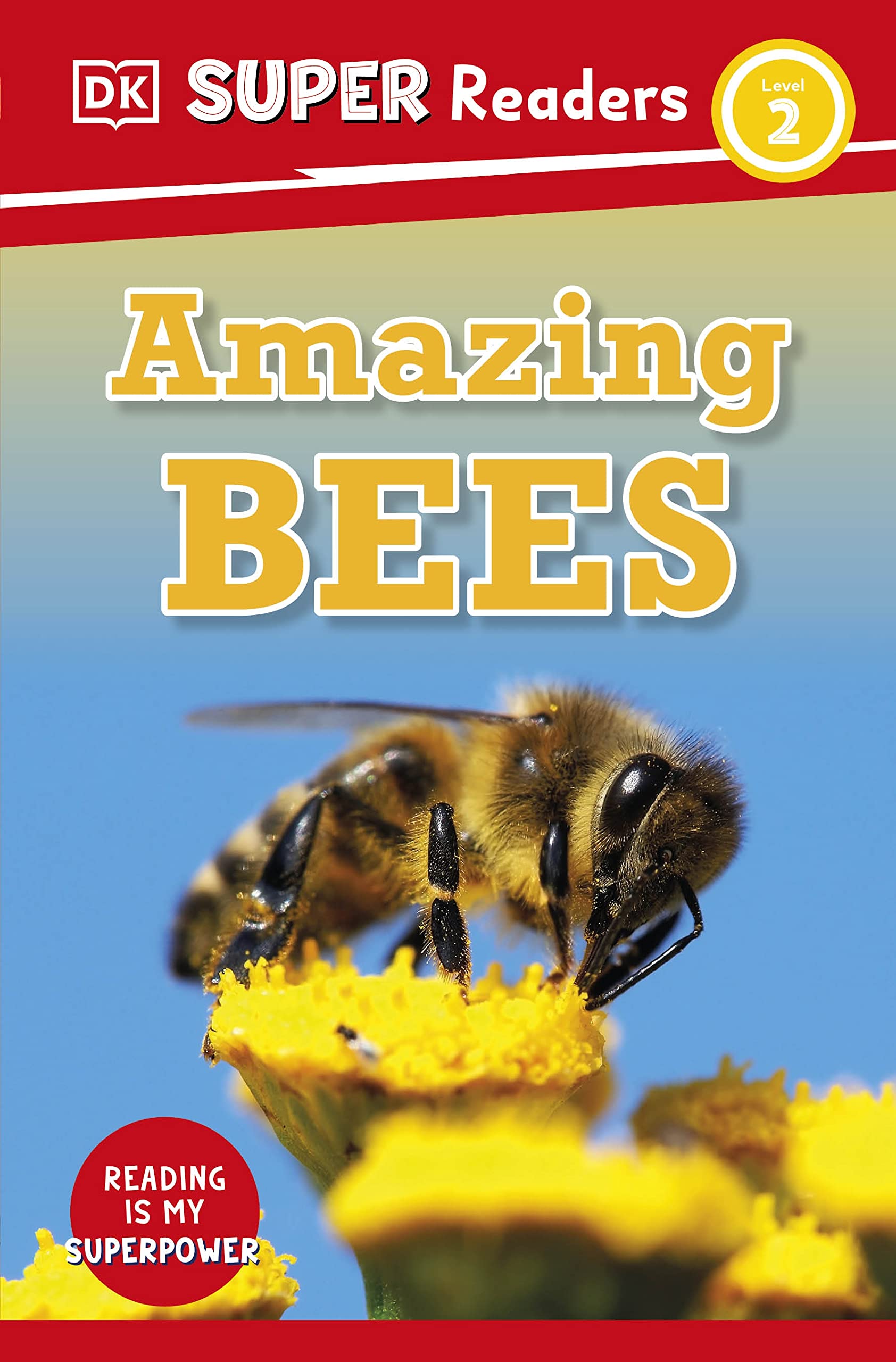 DK Super Readers Level 2 Amazing Bees by  DK - 9780241602652