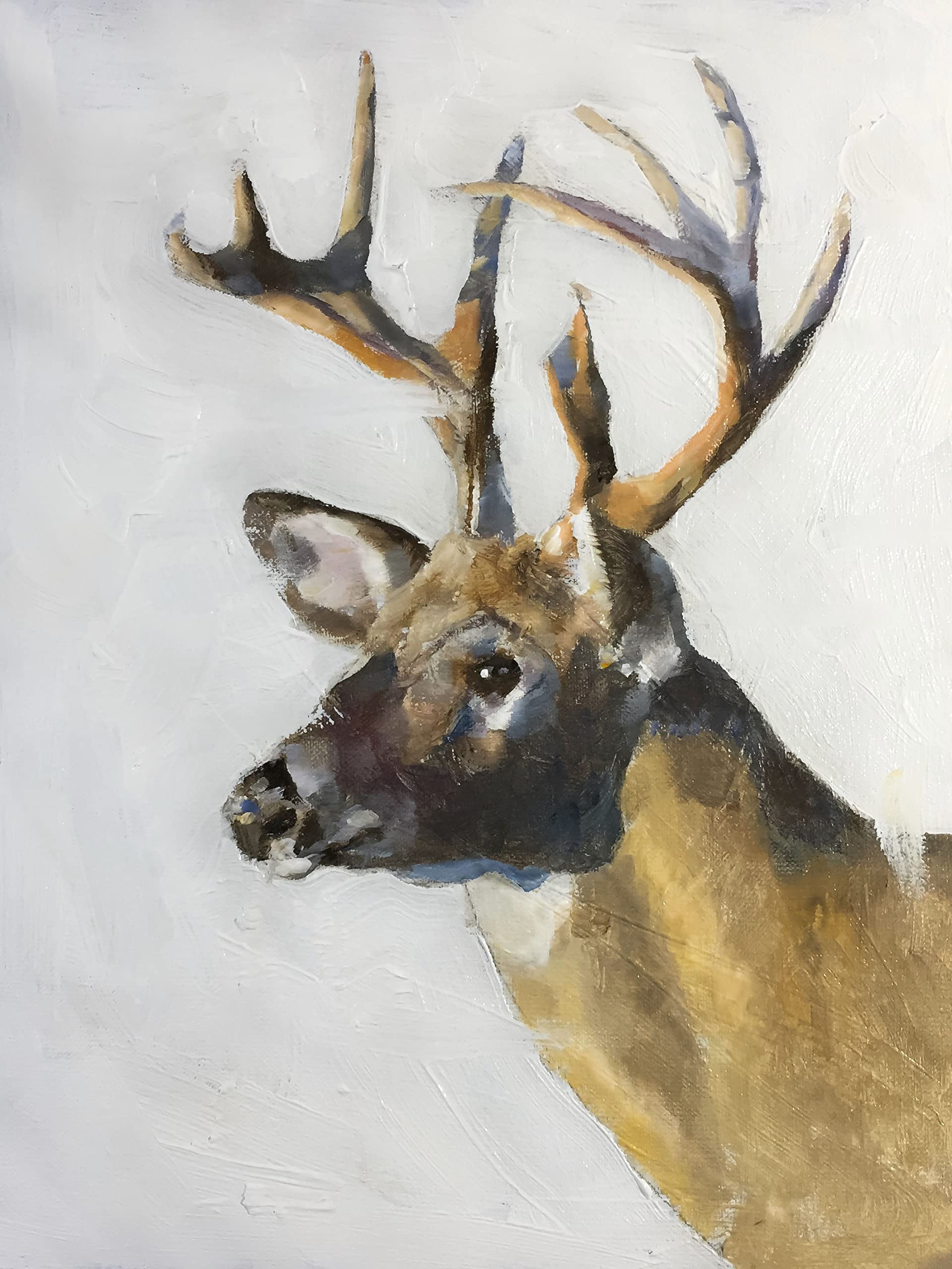 James Coates Deer Card Greeting Card with Stag Painting A5 size, 5060968450144, Multicolour