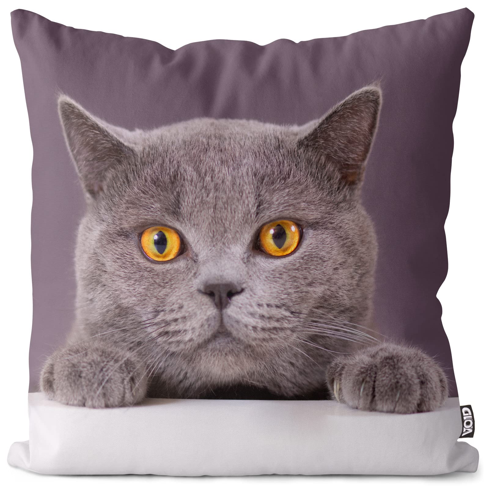 VOID Katze Britisch Kurzhaar Kissenbezug Kissenhülle Sofakissen Kissen Deko Outdoor-Kissen Dekokissen, Kissen Größe:80 x 80 cm