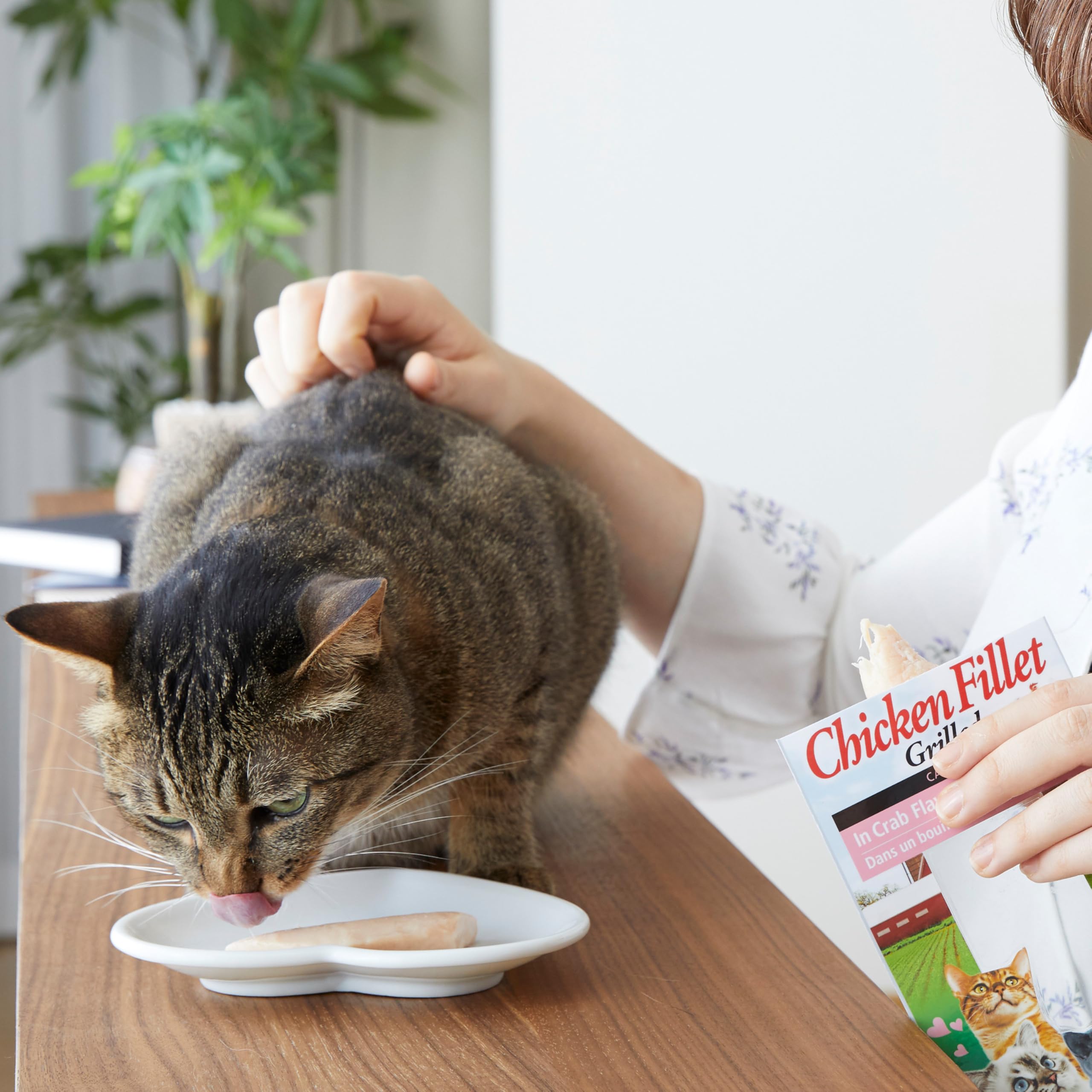 INABA Filete de Pollo a la Parrilla - Golosinas de Filete de Pollo - Caldo Sabor Vieira - Snack Felino Rico en Antioxidantes a la Parrilla - para Gatos - 1 Filete 25g