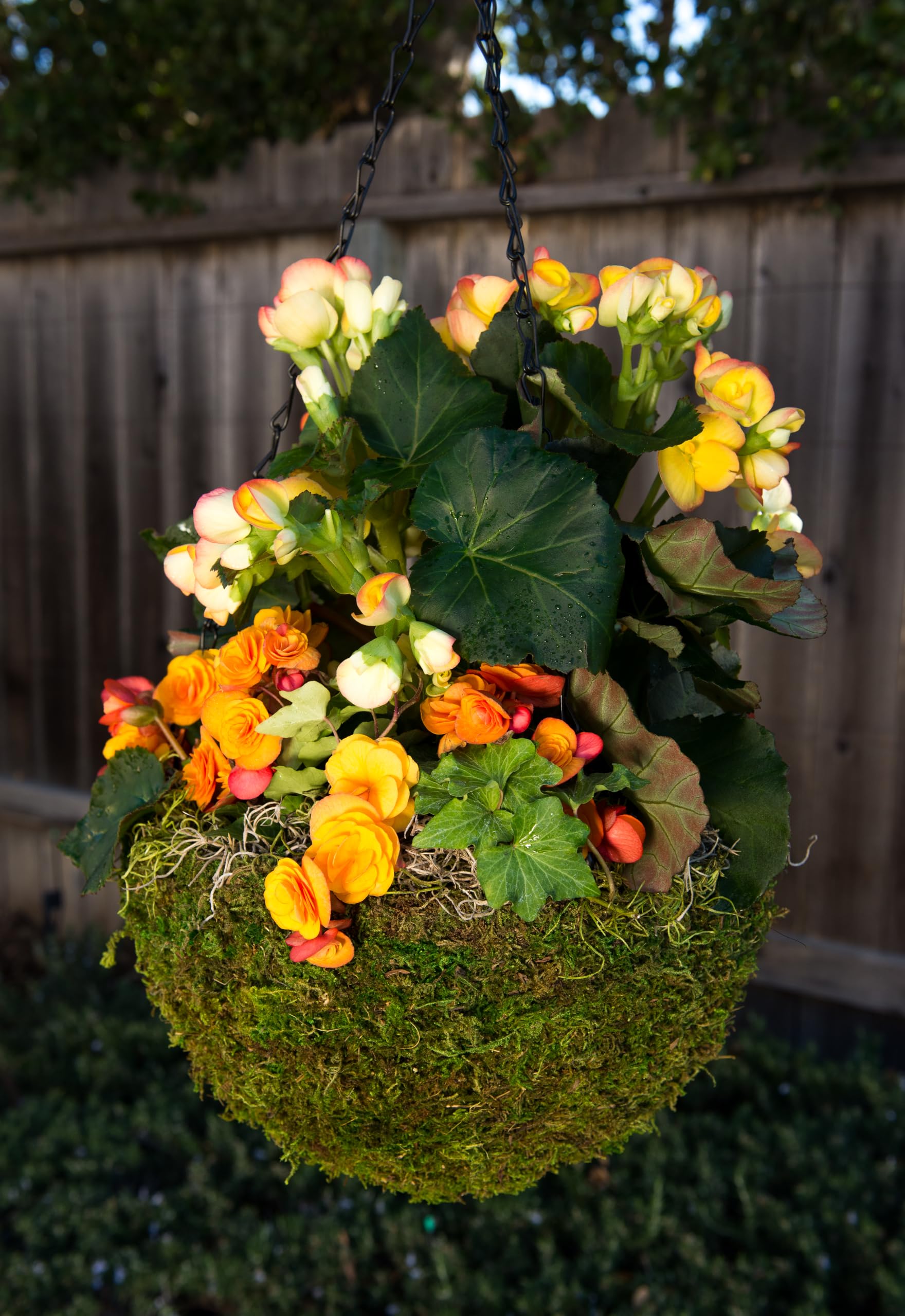 Amazon.com : SuperMoss (29202) MossWeave Hanging Basket - Round