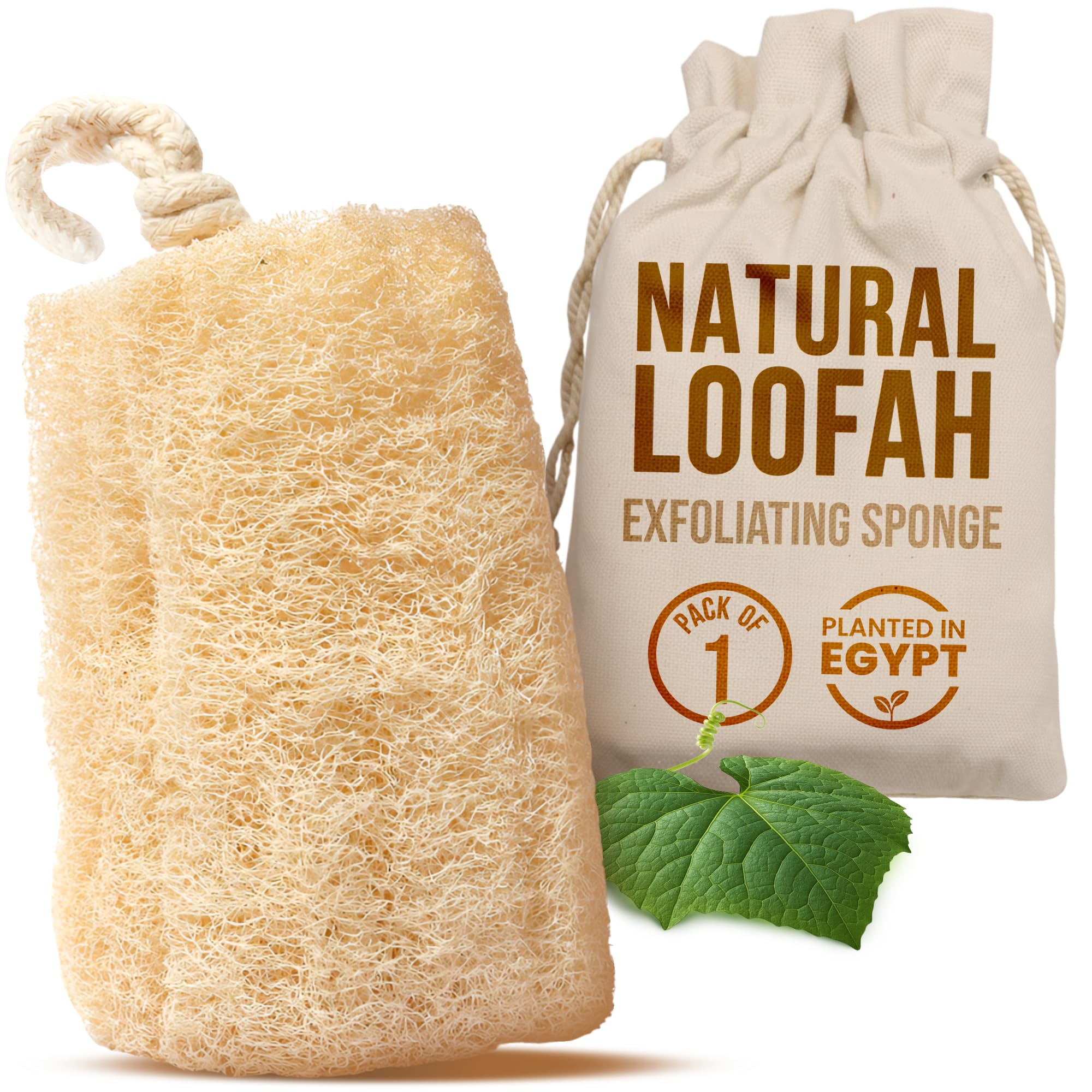 CraftsOfEgypt Natural Loofah Sponge – Egyptian Luffa Body Scrubber Pack of 1 for Men & Women, Natural Bath & Shower Loofah Exfoliator, All Natural