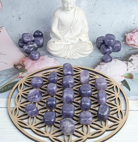 Miniatura 48 de Crocon Kit de cristales y piedras curativas de amatista de 1 libra para cristal curativo de Reiki, piedras pulidas moradas, piedras pulidas