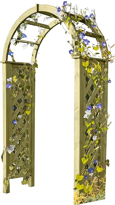 Gartenpirat Pergola mit Rundbogen 119x58x240 cm Rosenbogen aus Holz mit