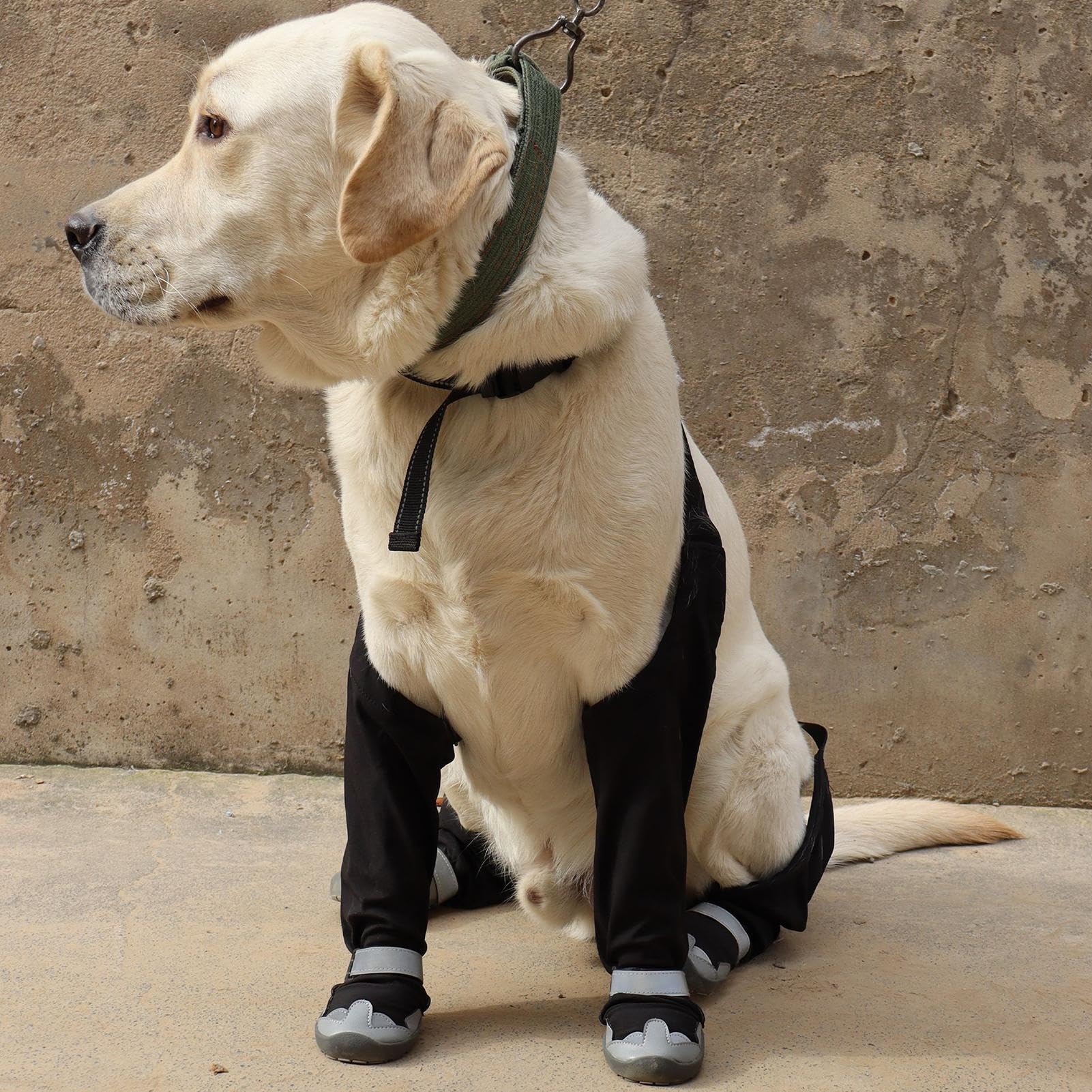 Bottes De Neige À Bretelles Pour Chien Chaussons Ajustables Anti-Dérapant | Chaussures À Suspentes Pour Chien Pour Marche Extérieure Hiver Neige Pluie