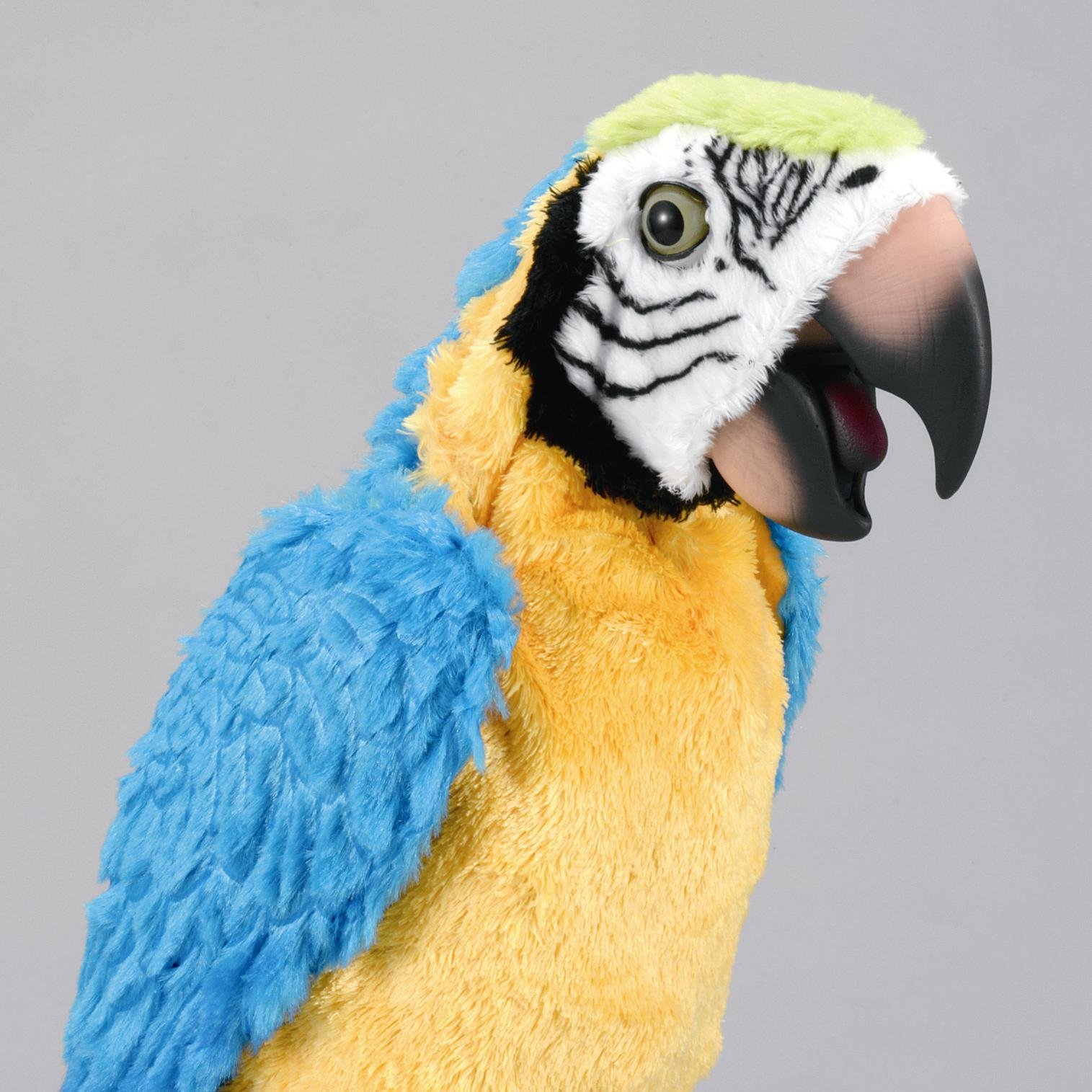 おしゃべり夢おうむ Amazon.co.jp: 夢おうむ : おもちゃ