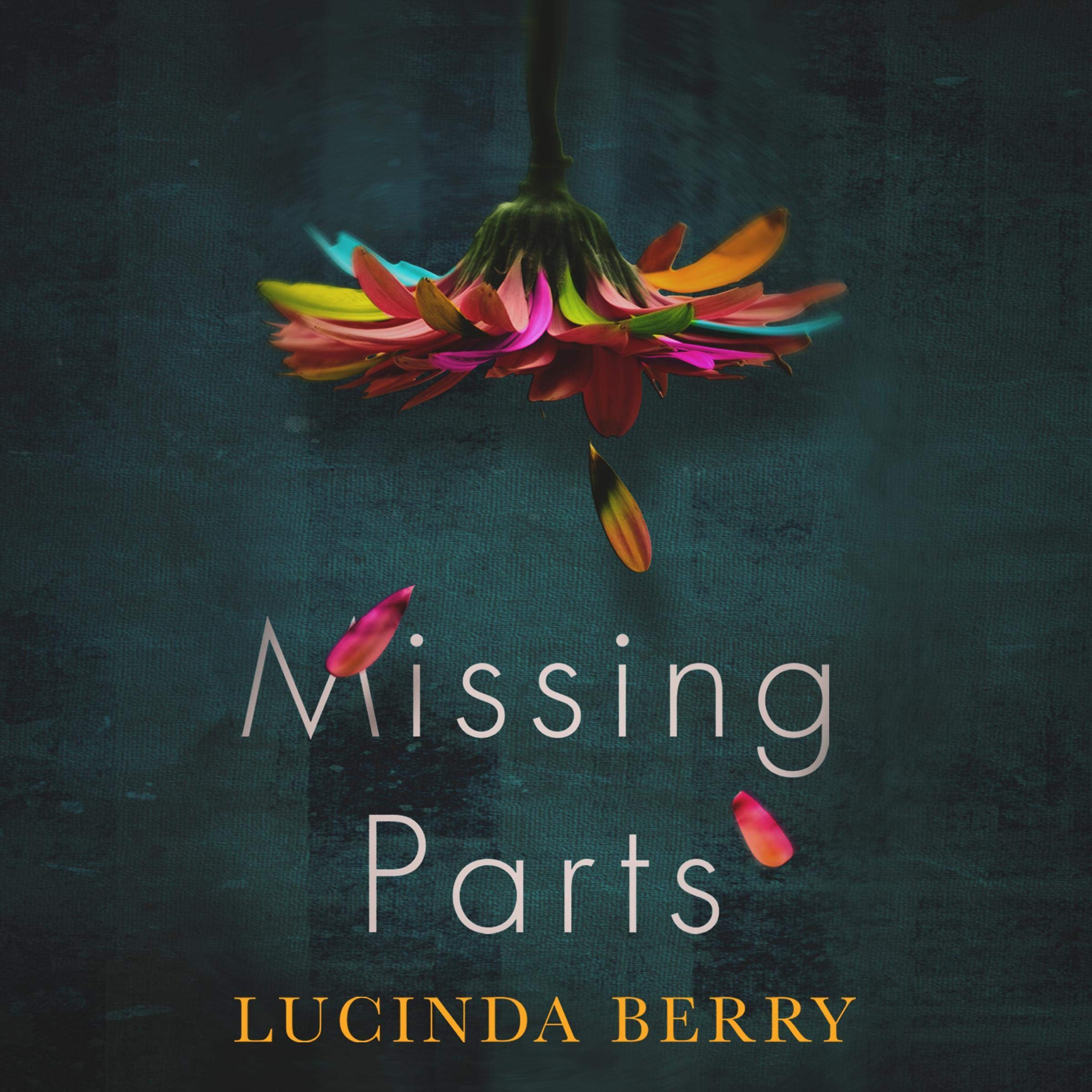Cover art for Missing Parts