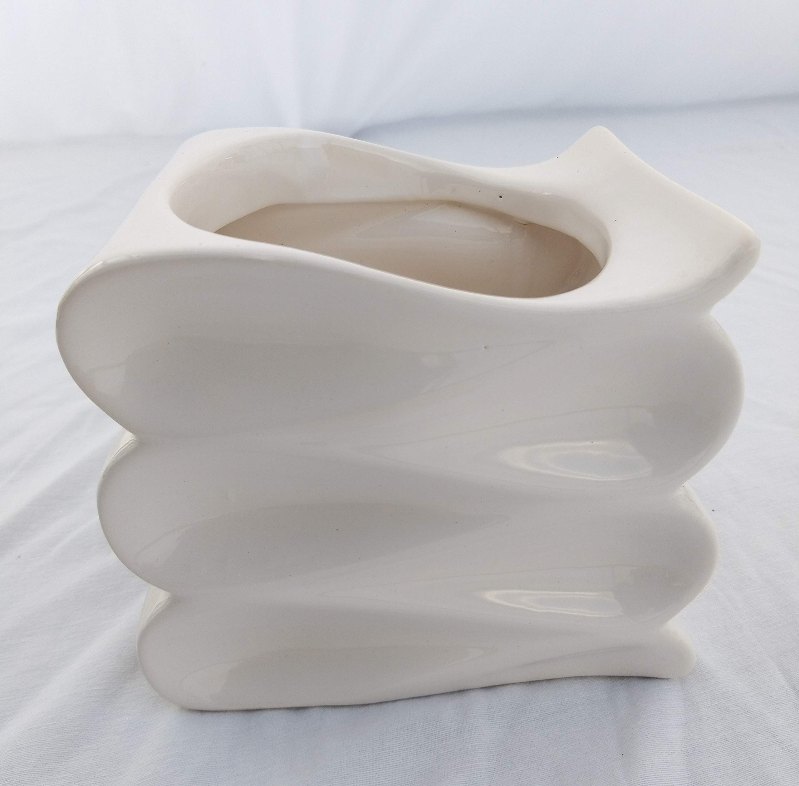 POWERS TO FLOWERS - Ginkgo Biloba Mini In Vaso Ceramica Bianco - Pianta Vera, Ideale Per Scrivania E Terrarium - 3