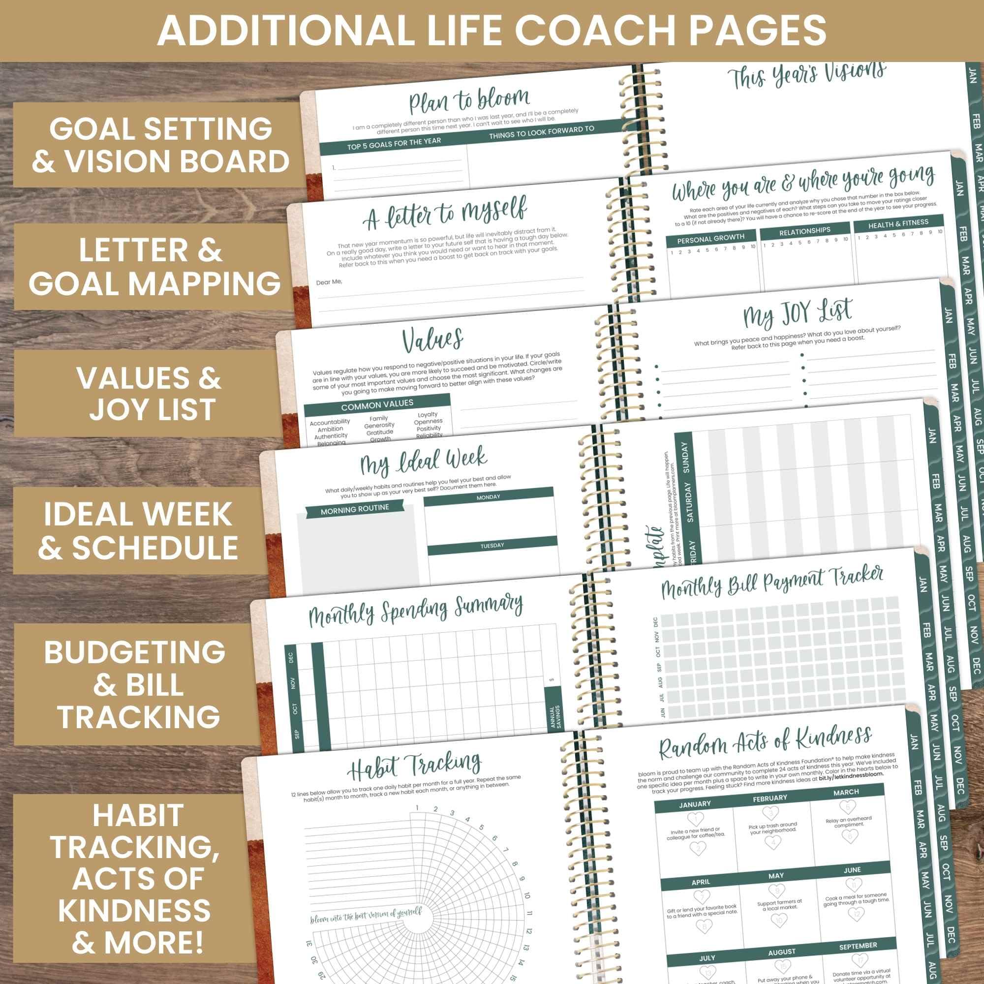 bloom daily planners Agenda anual 2025 (8.5 x 11 pulgadas) (enero de 2025 a diciembre de 2025) – Organizador de agenda semanal/mensual con calcomanías y pestañas – Abstracto terroso, verde