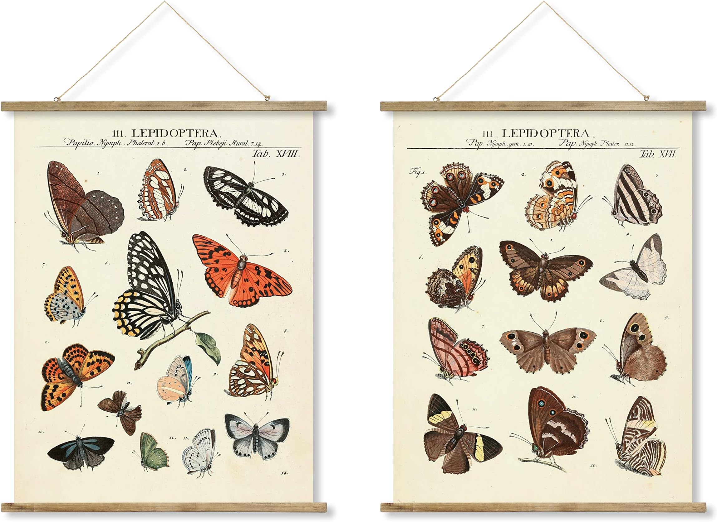 2 Pack Butterfly Vintage Poster Hanger Frame, Patterns are Printed on Linen Without Fading,  Scrolls  Made of Fir are Durable, Retro Style  Wall  Decor Art Painting for Living Room Office Classroom Bedroom Decor,Adults and Children Learn Charts(22.4" X 15.7")