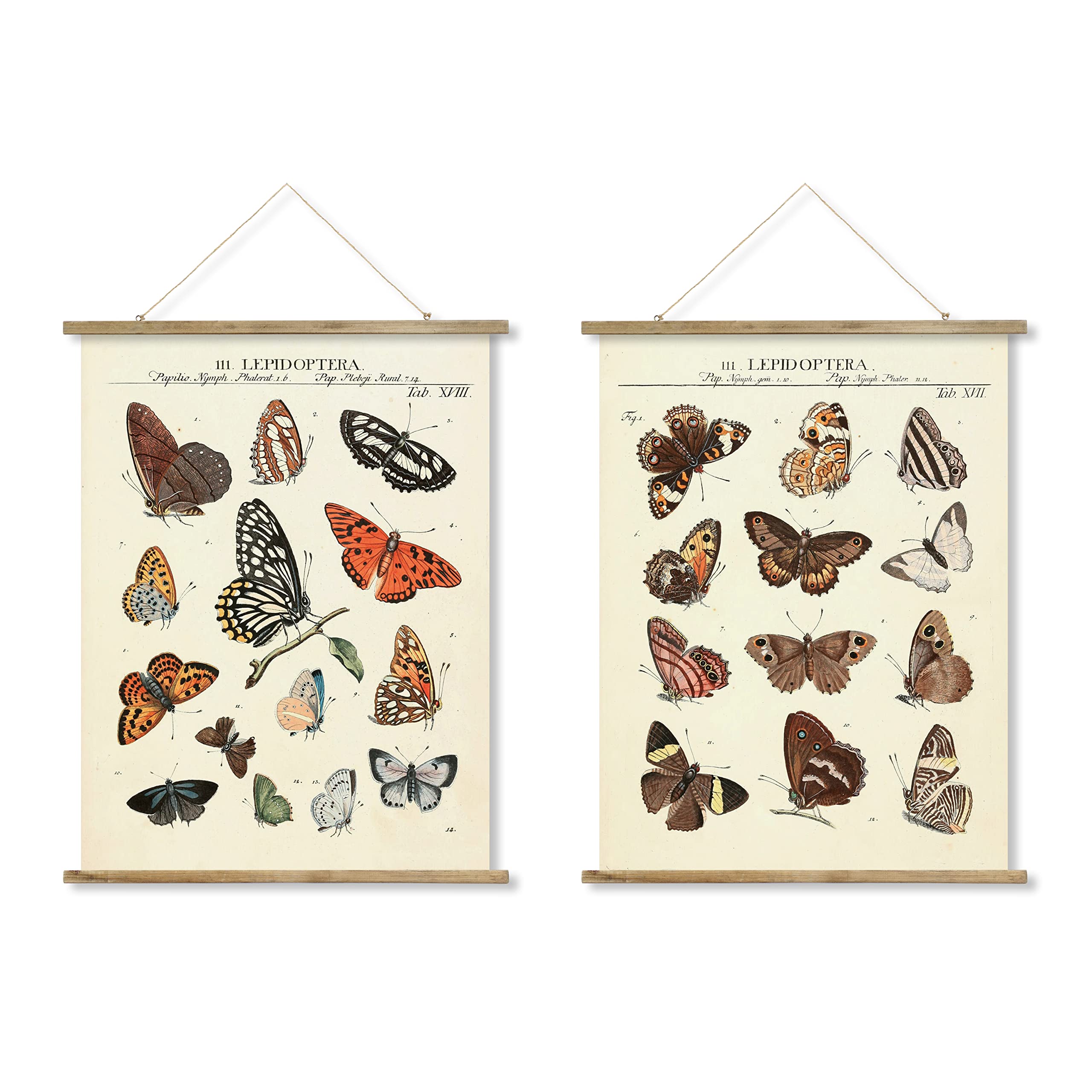 2 Pack Butterfly Vintage Poster Hanger Frame, Patterns are Printed on Linen Without Fading,  Scrolls  Made of Fir are Durable, Retro Style  Wall  Decor Art Painting for Living Room Office Classroom Bedroom Decor,Adults and Children Learn Charts(22.4" X 15.7")