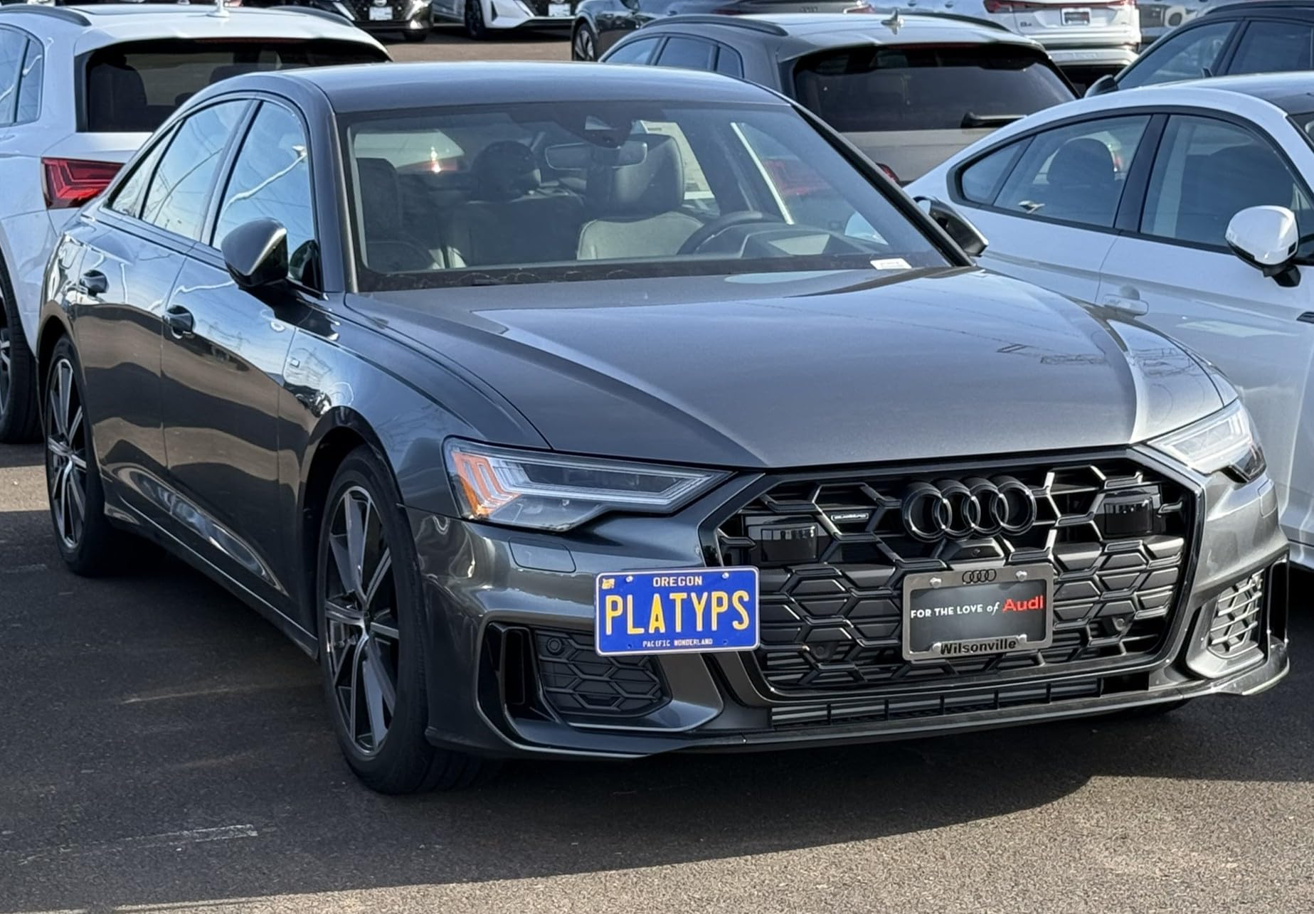Amazon.com: CravenSpeed Platypus License Plate Mount Compatible
