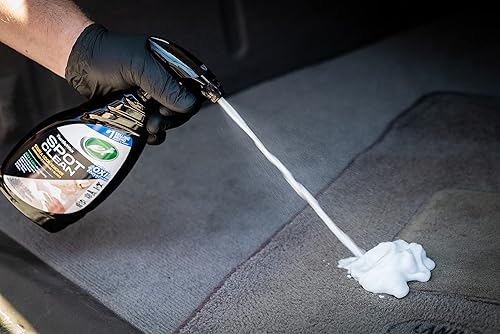 Miniatura 4 de Turtle Wax 53839 - Removedor de manchas y olores, limpiador en aerosol sin aerosol para alfombras, tela y superficies tapizadas, elimina manchas