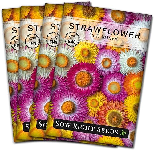 Miniatura 9 de Sow Right Seeds - Semillas altas de fresa mixta - Paquete de reliquia sin OMG con instrucciones para cultivar - Hermoso para plantar en tu jardín de