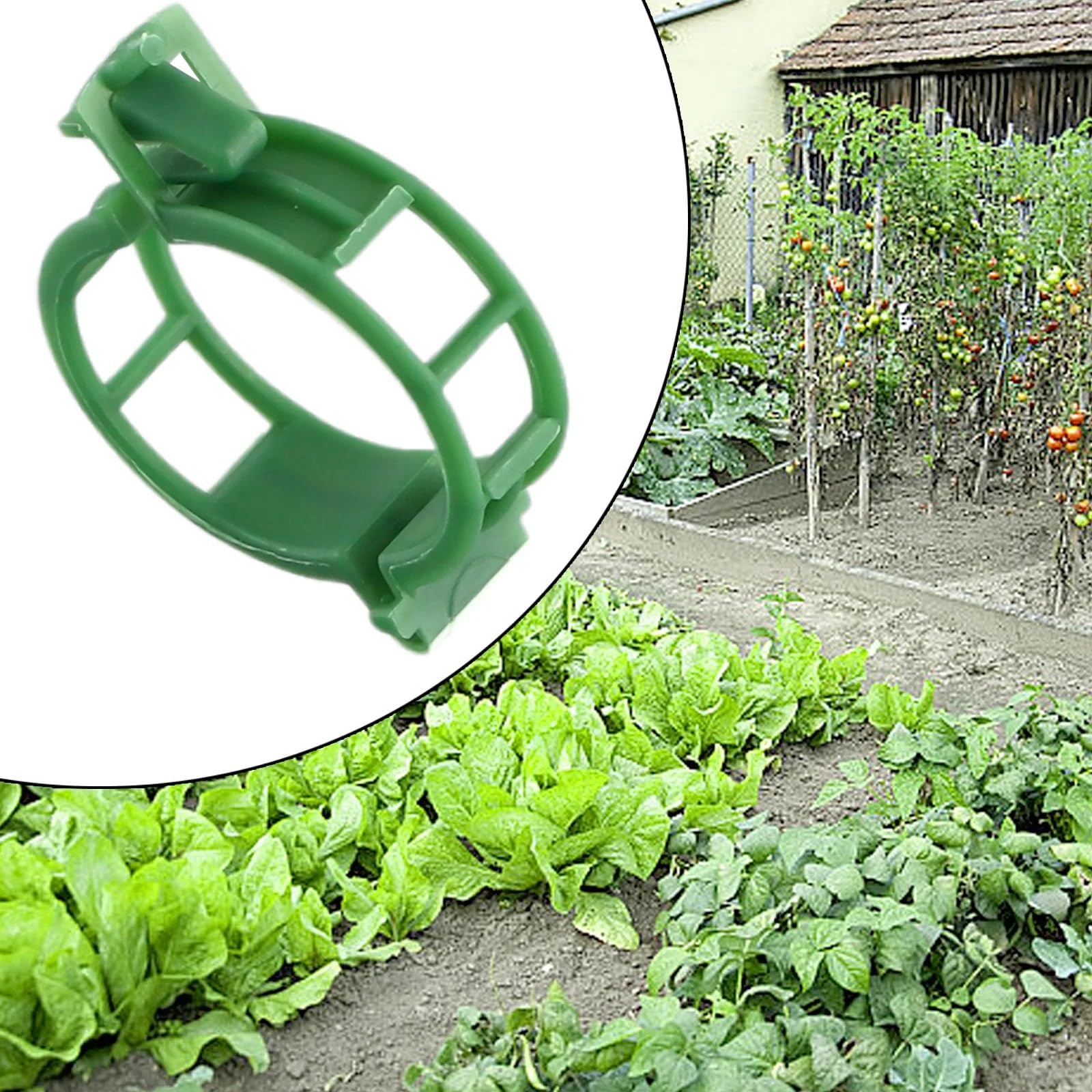 Lot de 1000 attaches en plastique pour plantes grimpantes