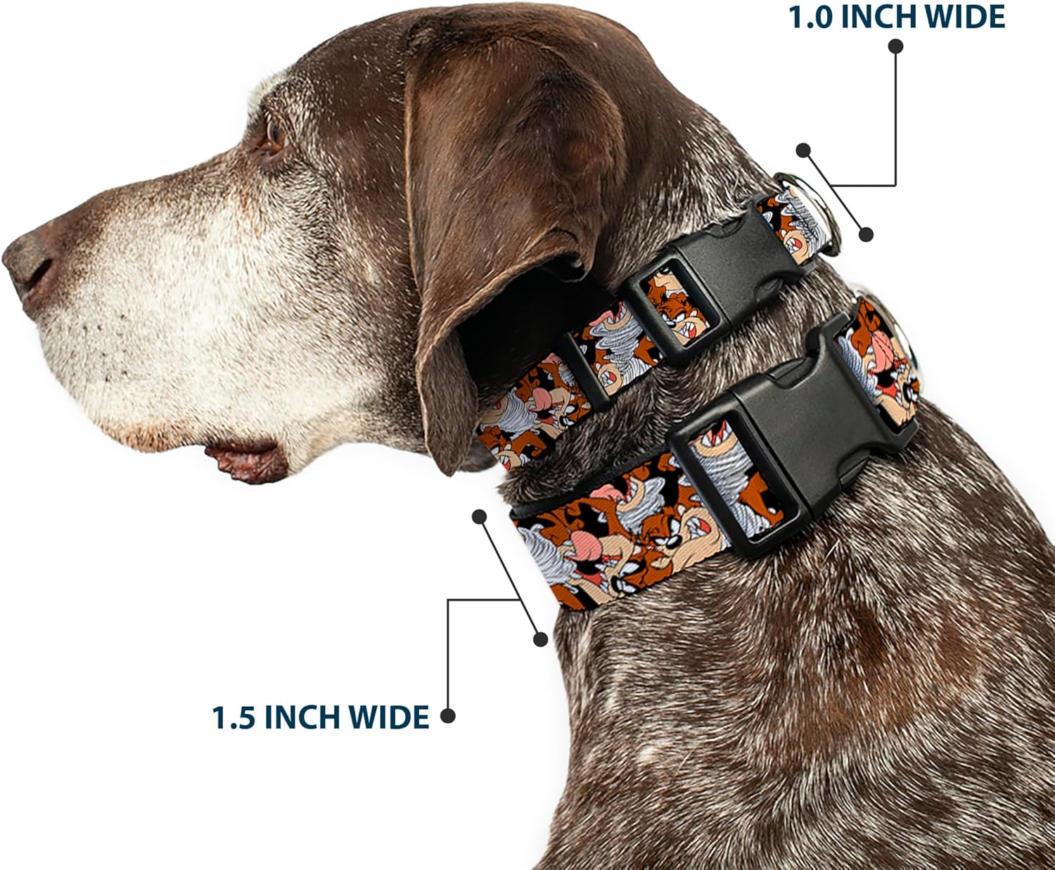 Dog Collar Plastic Clip Tasmanian Devil Vortex Poses Stacked Black 16 to 23 Inches 1.5 Inch Wide