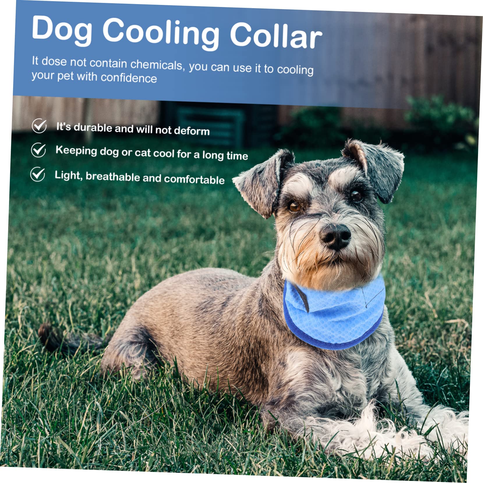BESPORTBLE 5stücke Kühlendes Hundehalsband Für Sommer Atmungsaktive Und Leichte Bandana Für Haustiere Für Heiße Tage Mit Kühlendem Effekt Pet Cooling Scarf Für Hunde Und Katzen
