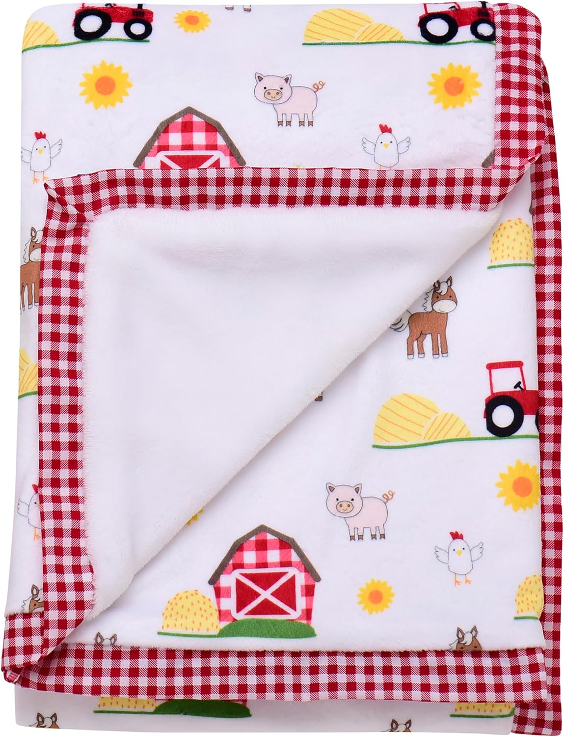 2 Ply Plush Baby Blanket, Reversible World of Eric Carle The Very Hungry Caterpillar Print (Multi-Colored, 30 in. x 40 in.)
