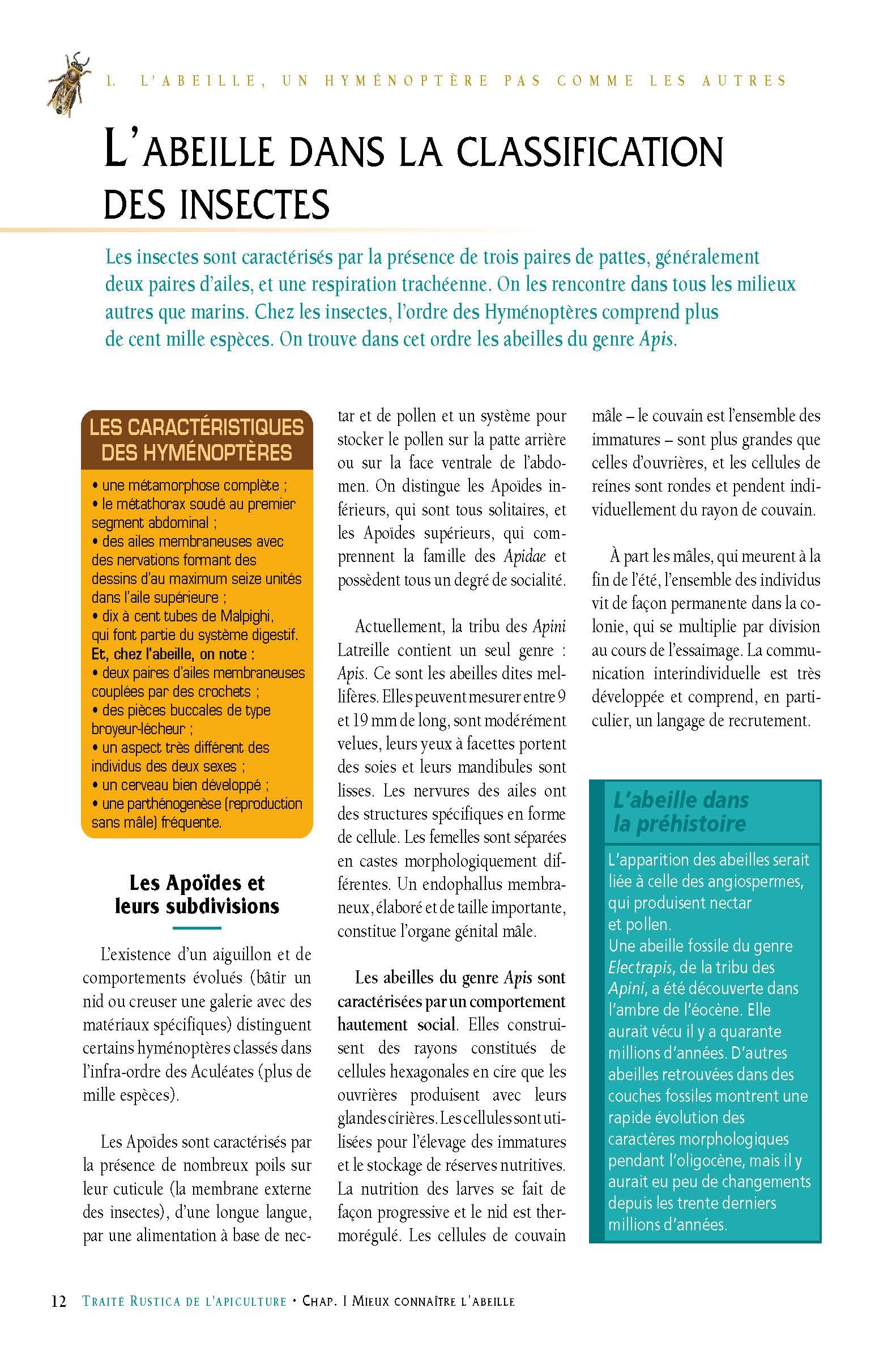 Le traité Rustica de l'apiculture version luxe