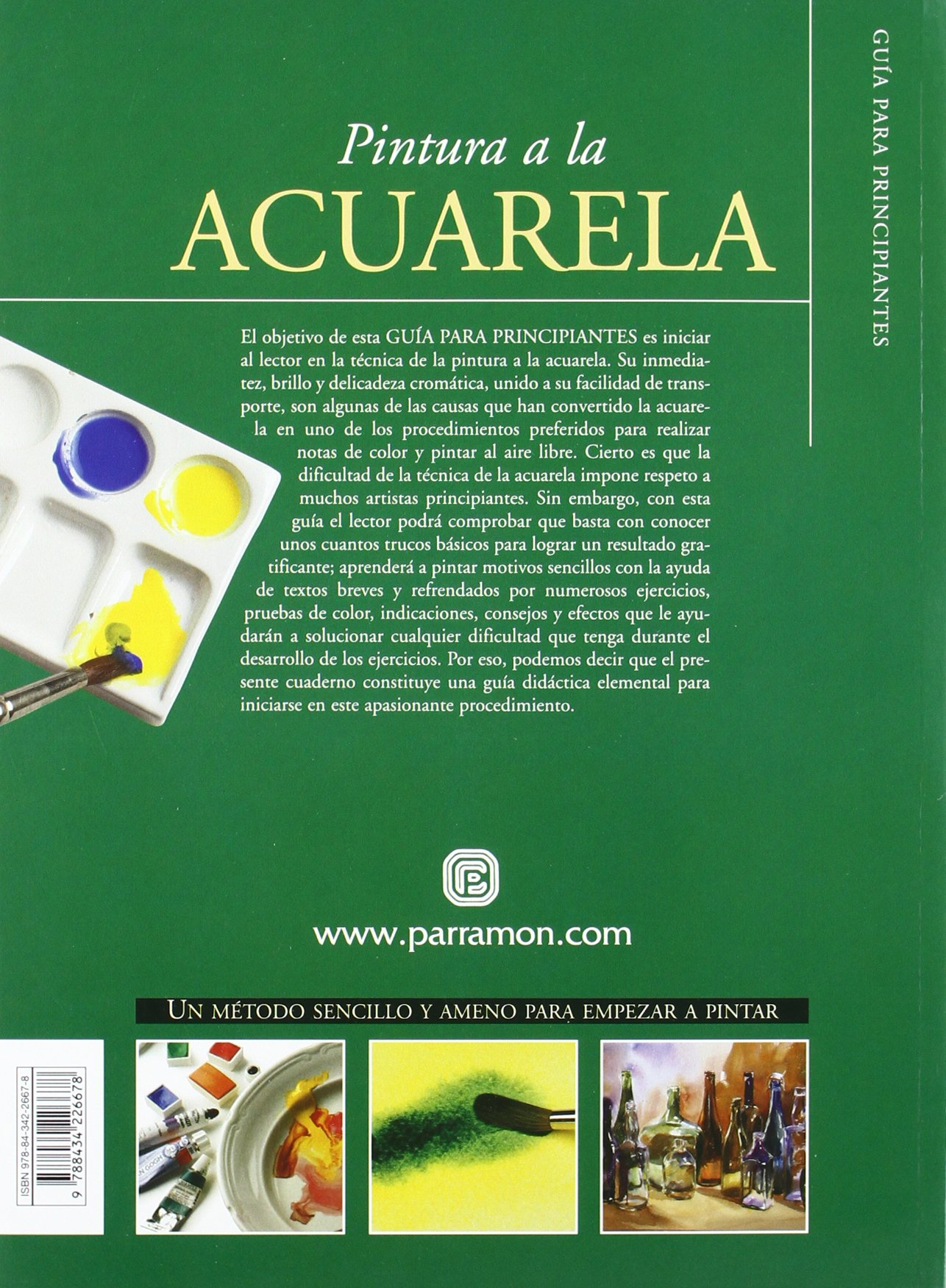 Guía para principiantes pintura a la acuarela