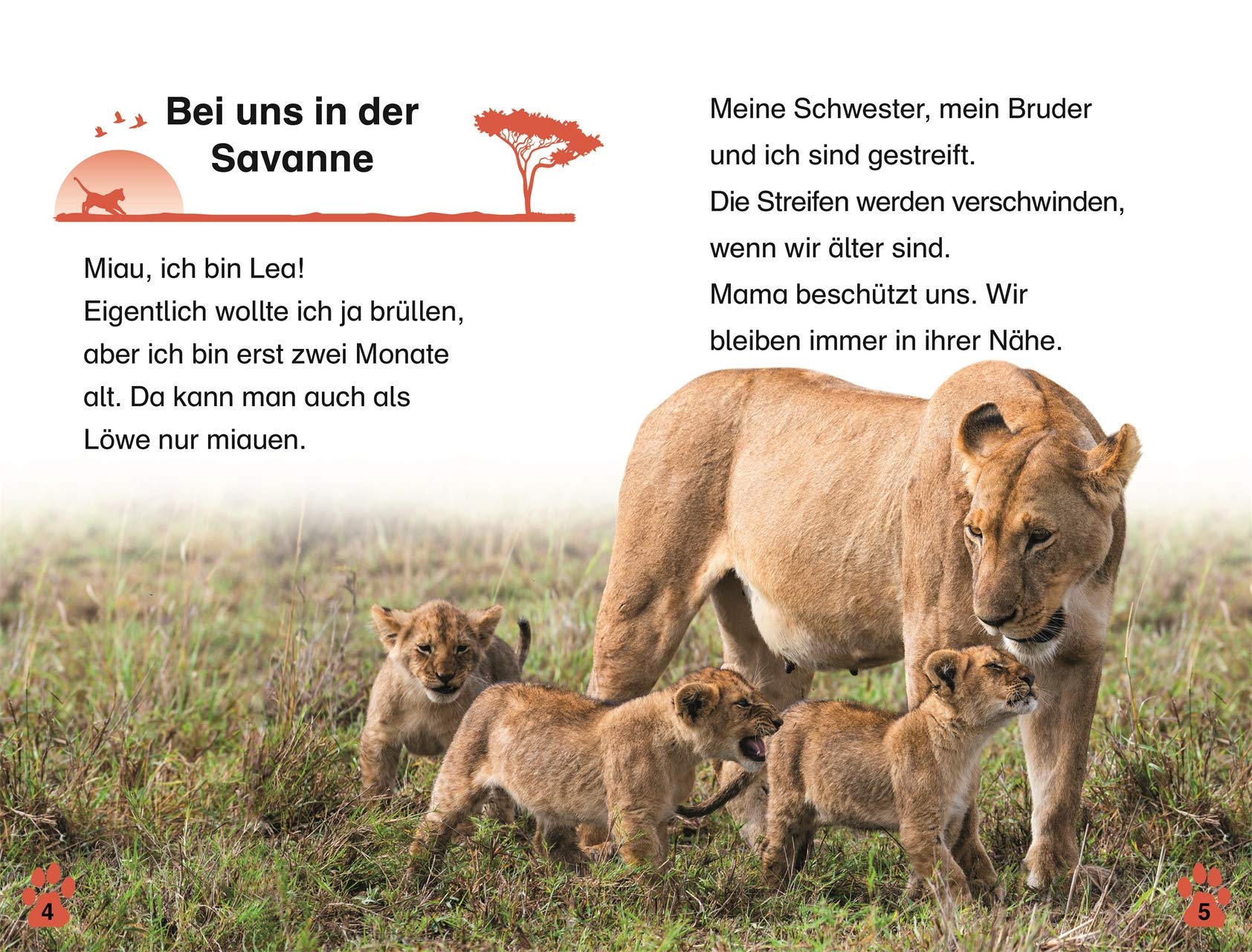 SUPERLESER! Löwen-Abenteuer: 1. Lesestufe Sach-Geschichten für Leseanfänger