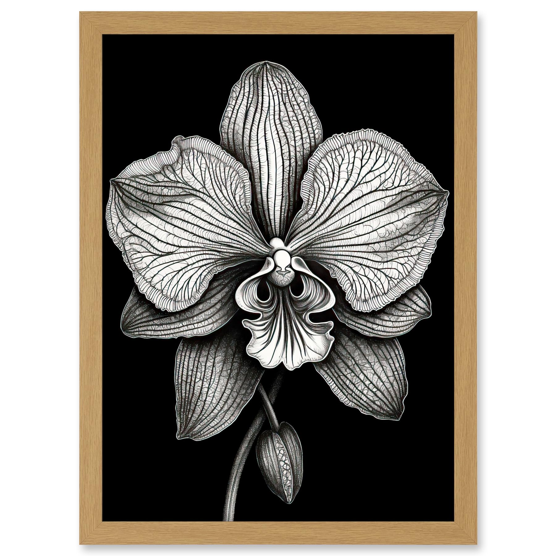 Artery8 Detailed Orchid Flower Petals in Black and White Artwork Framed A3 Wall Art Print