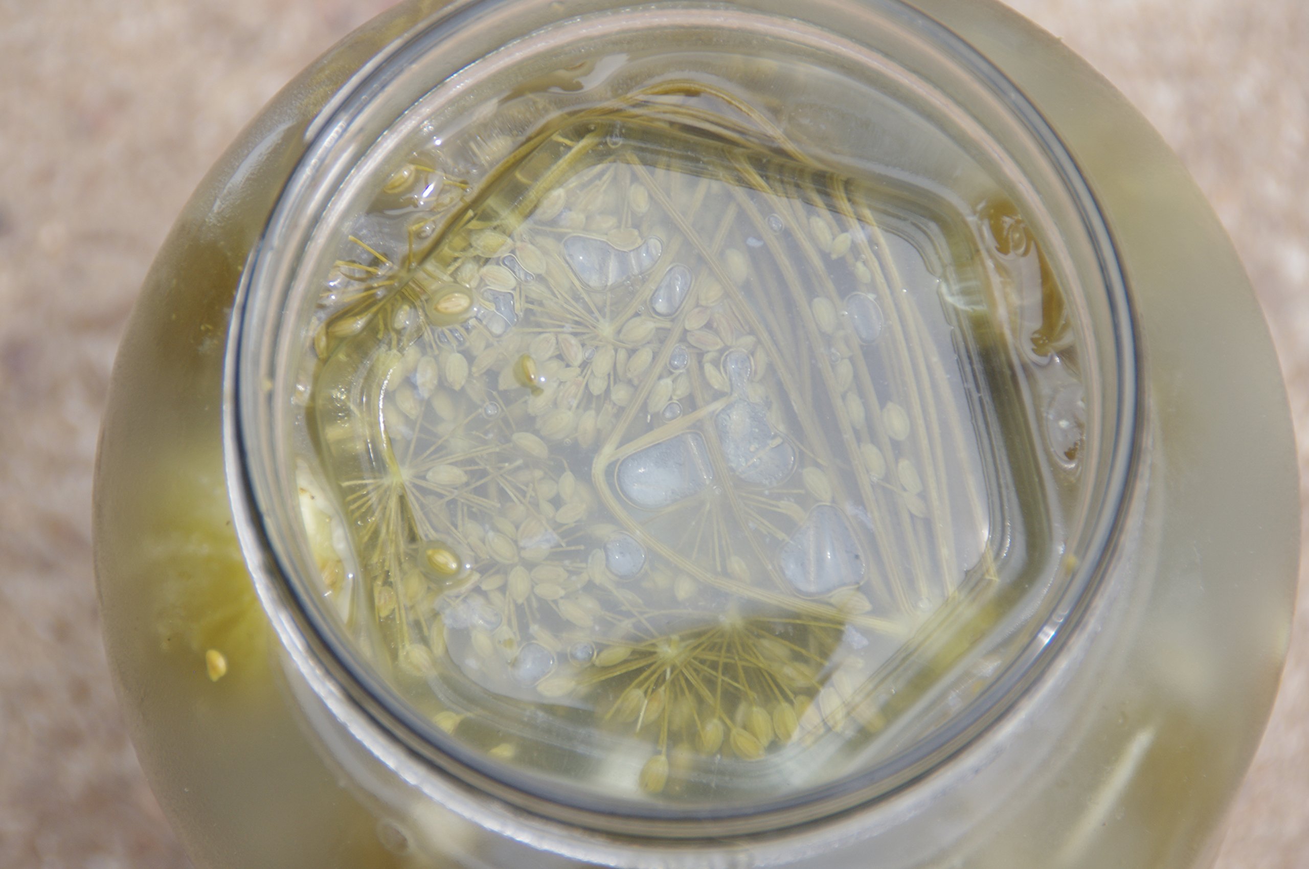 Fermentation glass Jar Weights 3