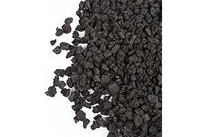 GASPRO Black Lava Rocks: A Natural Oasis for Plants, Bonsai, and More
