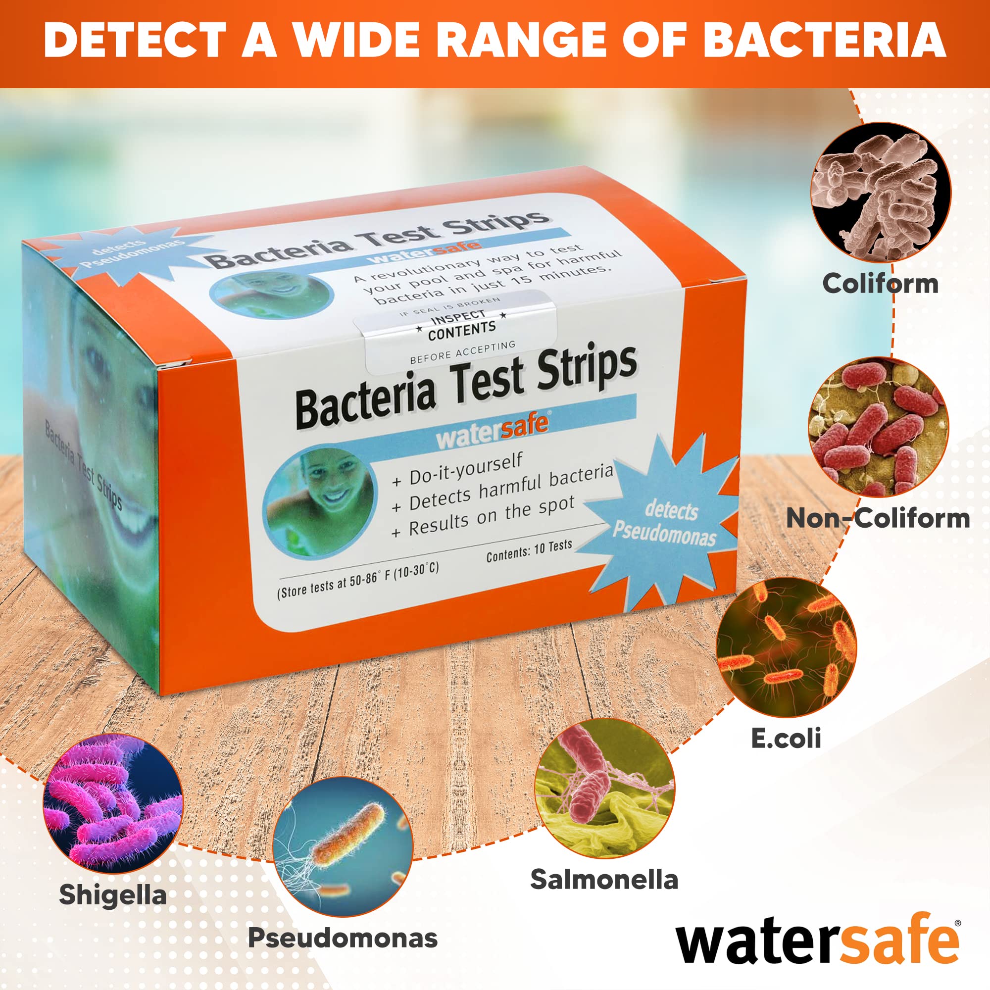 Buy The Original Watersafe Rapid Bacteria 10 Test Kit 1,000 CFU/mL