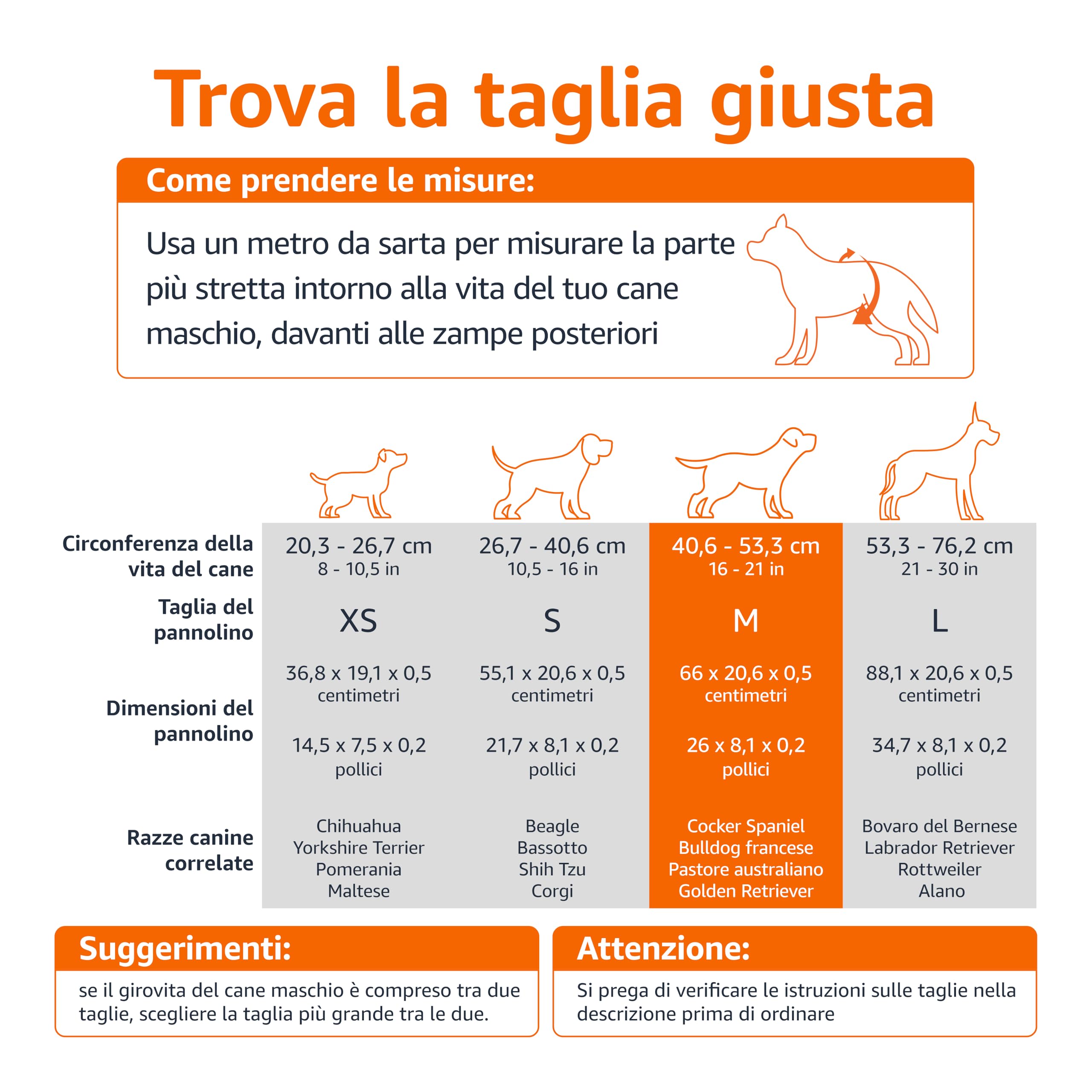 Amazon Basics Pannolini usa e getta per cani maschi, Medio (confezione da 30), Bianco