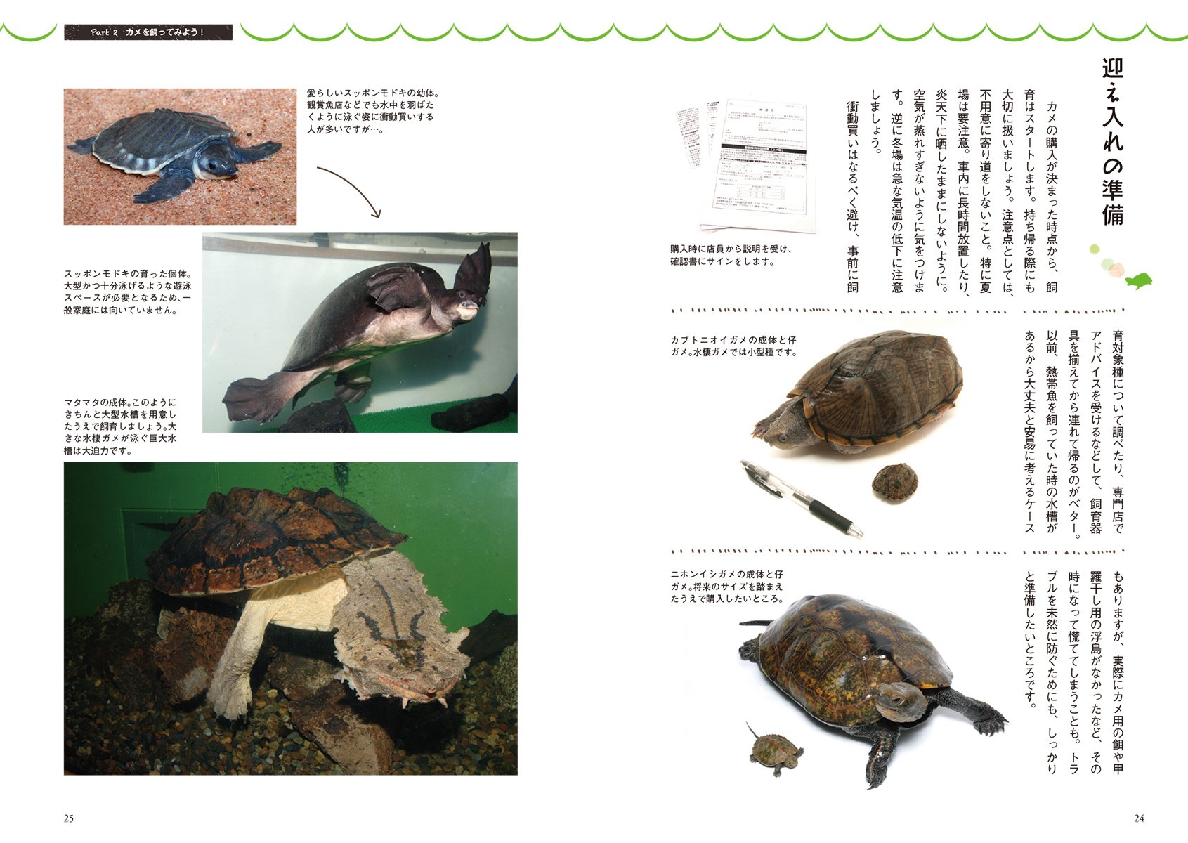 カメ飼育ノート 水棲ガメの生態から飼育 繁殖まで 勉 大谷 宣広 川添 本 通販 Amazon