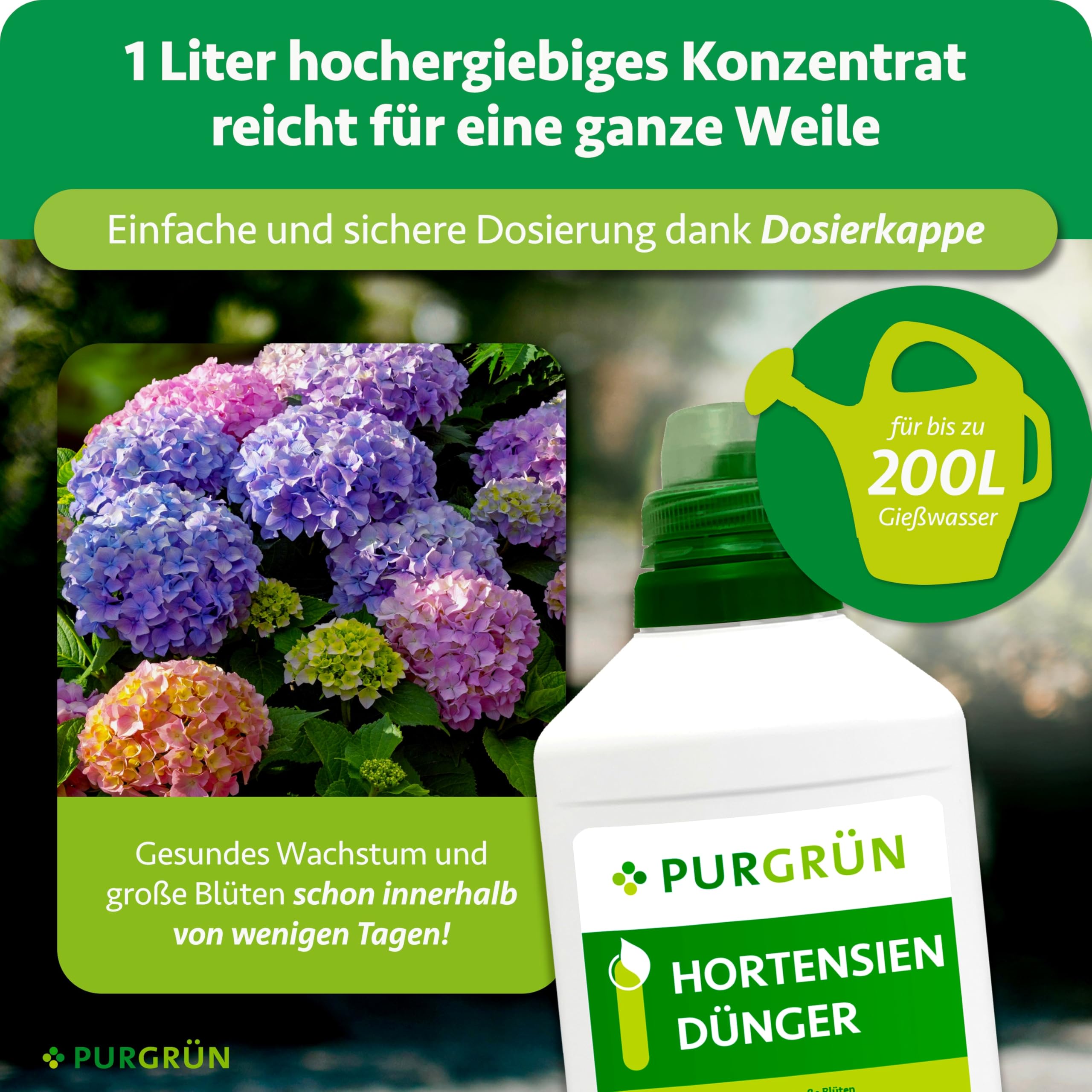 Hortensiendünger 1 Liter – Wirkt schnell & zuverlässig – Wunderelixier für Farbexplosion & Vitalität – Gesundes Wachstum dank Spurennährstoffen – Premium-Blumendünger für 200 Liter Wasser